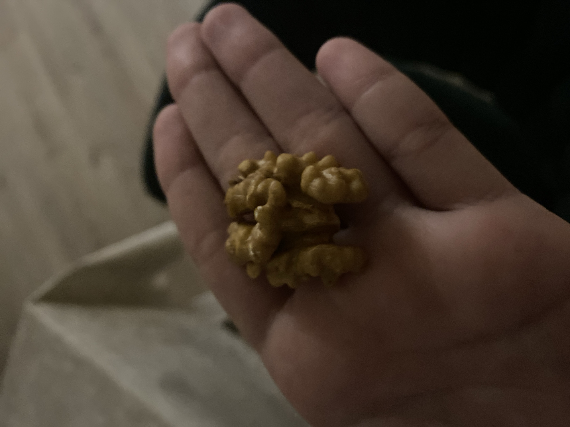 A single, intact walnut kernel is held in a person's palm. The walnut is light brown and has a textured, convoluted surface characteristic of its species. The hand appears to be that of an adult, with visible creases and skin tone. The background is out of focus, showing a muted, indoor environment with a hint of a patterned fabric on the left and a darker area on the right. There are no discernible elements in the image that would indicate a specific location in Tolyatti, Russia.