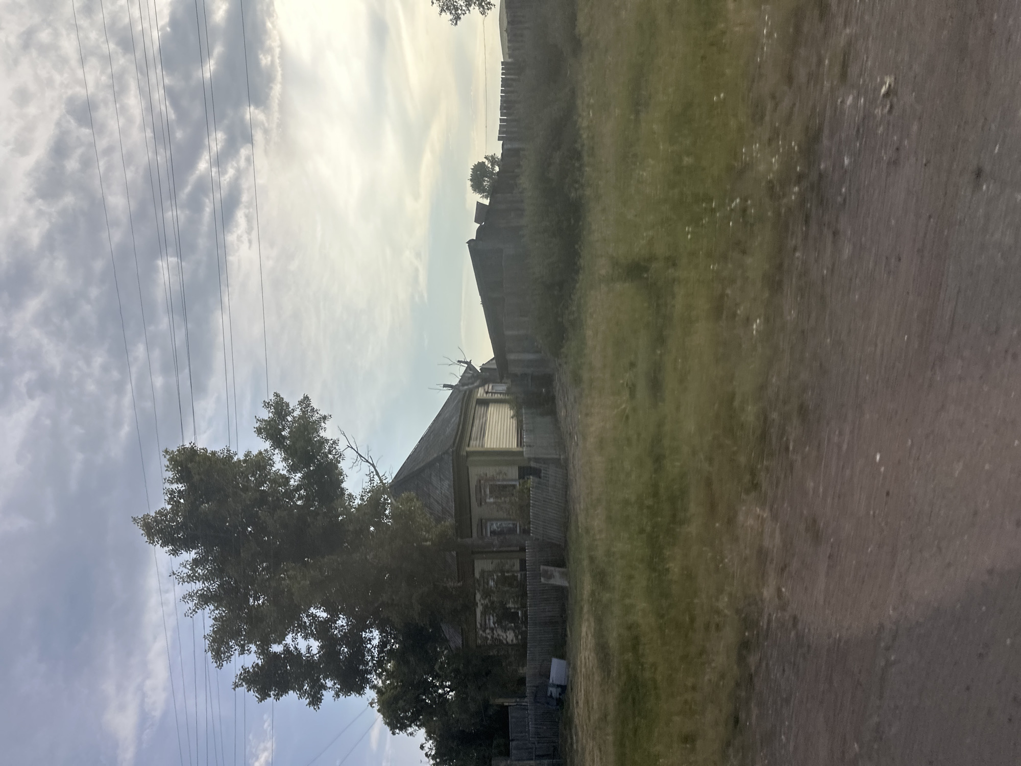 A wooden house with a hip roof, painted light green with white trim, is partially obscured by a large tree in Novonikolayevka, Russia. The house has multiple windows, some with decorative shutters. A wooden fence surrounds the property, and a second, more dilapidated wooden structure is visible to the right of the house, also behind a fence. The foreground consists of a dirt road and a grassy field with scattered white flowers. Overhead, power lines stretch across a cloudy sky. The overall impression is one of a rural, somewhat weathered residential area.