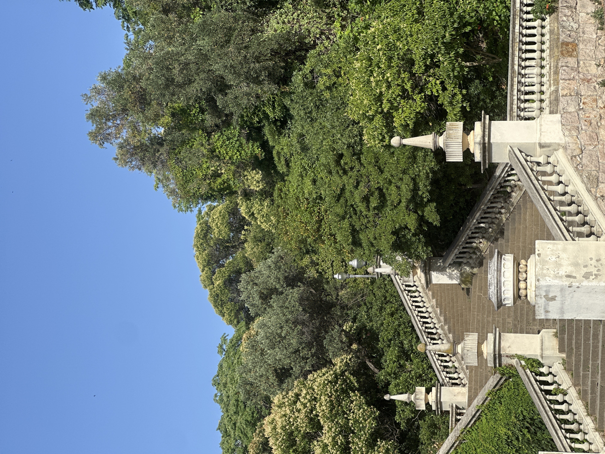 The image shows a grand stone staircase in a lush, green setting under a clear blue sky. The staircase features ornate balustrades with decorative posts and is flanked by ivy-covered walls on the left. At the top of the staircase, and integrated into the landscape, are numerous trees and foliage of various shades of green, indicating a park or garden area. The style of the architecture suggests an outdoor public space, likely a monument or a historically significant garden.
This is the **Parc del Turó de la Rovira** in **Barcelona, Spain**. The staircase and balustrades are characteristic of the architectural elements found in this park, which offers panoramic views of the city. The dense greenery surrounding the stairs is consistent with the vegetation that characterizes the park, which is situated on a hill. The clear sky suggests a sunny day, ideal for outdoor exploration of the park's features and vistas. There are no people visible in the image.