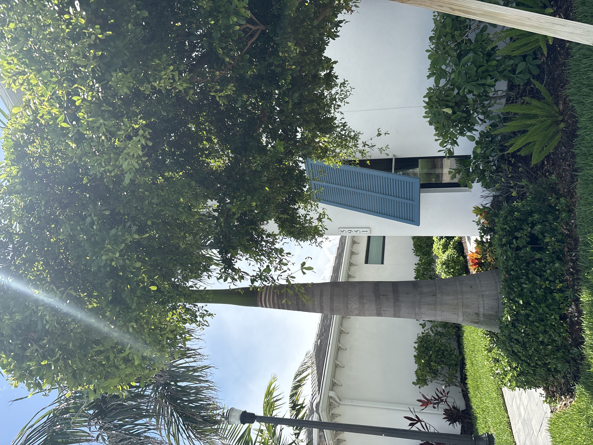 This media file captures a sunny outdoor scene featuring a modern white building with blue shutters and lush green landscaping. A tall palm tree trunk is prominently displayed, with its textured bark visible. In the foreground, a dark lamppost stands beside palm fronds, suggesting a tropical or subtropical environment. The building's facade has the address "1595" clearly visible in white numerals. The overall setting appears to be a well-maintained residential or commercial property, possibly in a warm climate given the vegetation. The bright sunlight and clear sky indicate it is daytime, with pleasant weather. The image is oriented vertically, giving a sense of height and scale to the tree and building.