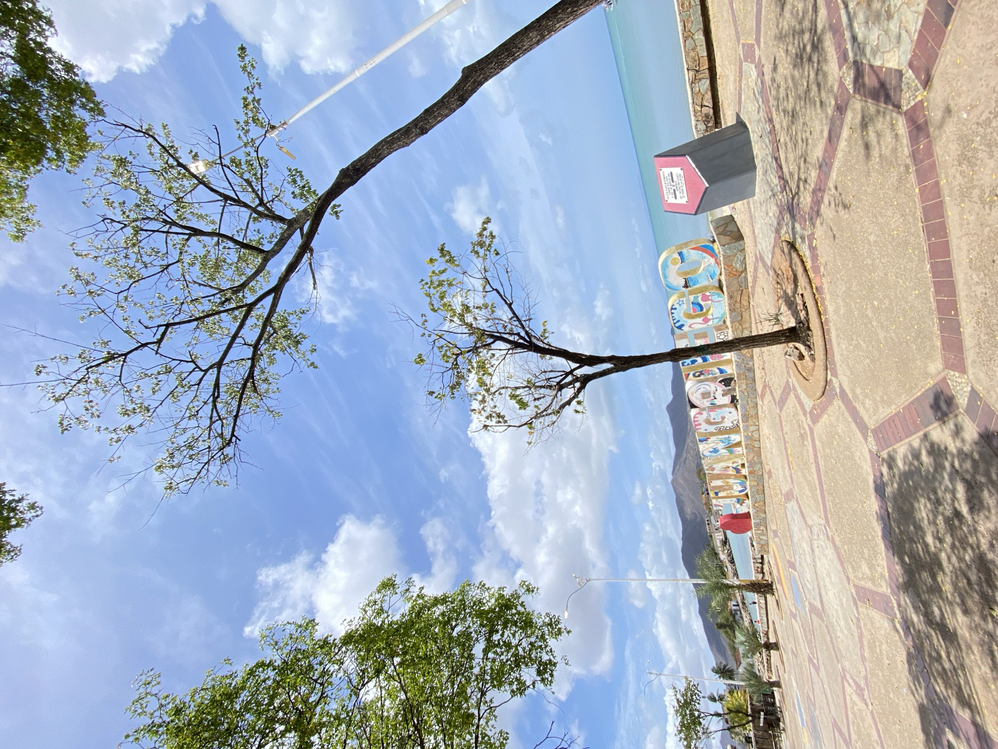 The image shows a sunny day scene at Juan Griego, Venezuela. The foreground features a patterned stone walkway extending into the distance. A tree grows directly from the walkway, interrupting the paving pattern. To the left of the tree, there are colorful, decorative letters that spell out the city's name. Beyond these letters, there is a grey monolith. In the background, a body of water meets a distant mountain range. The sky is blue with scattered white clouds, partially obscured by tree branches. Another tree's branches extend from the upper left corner of the frame.