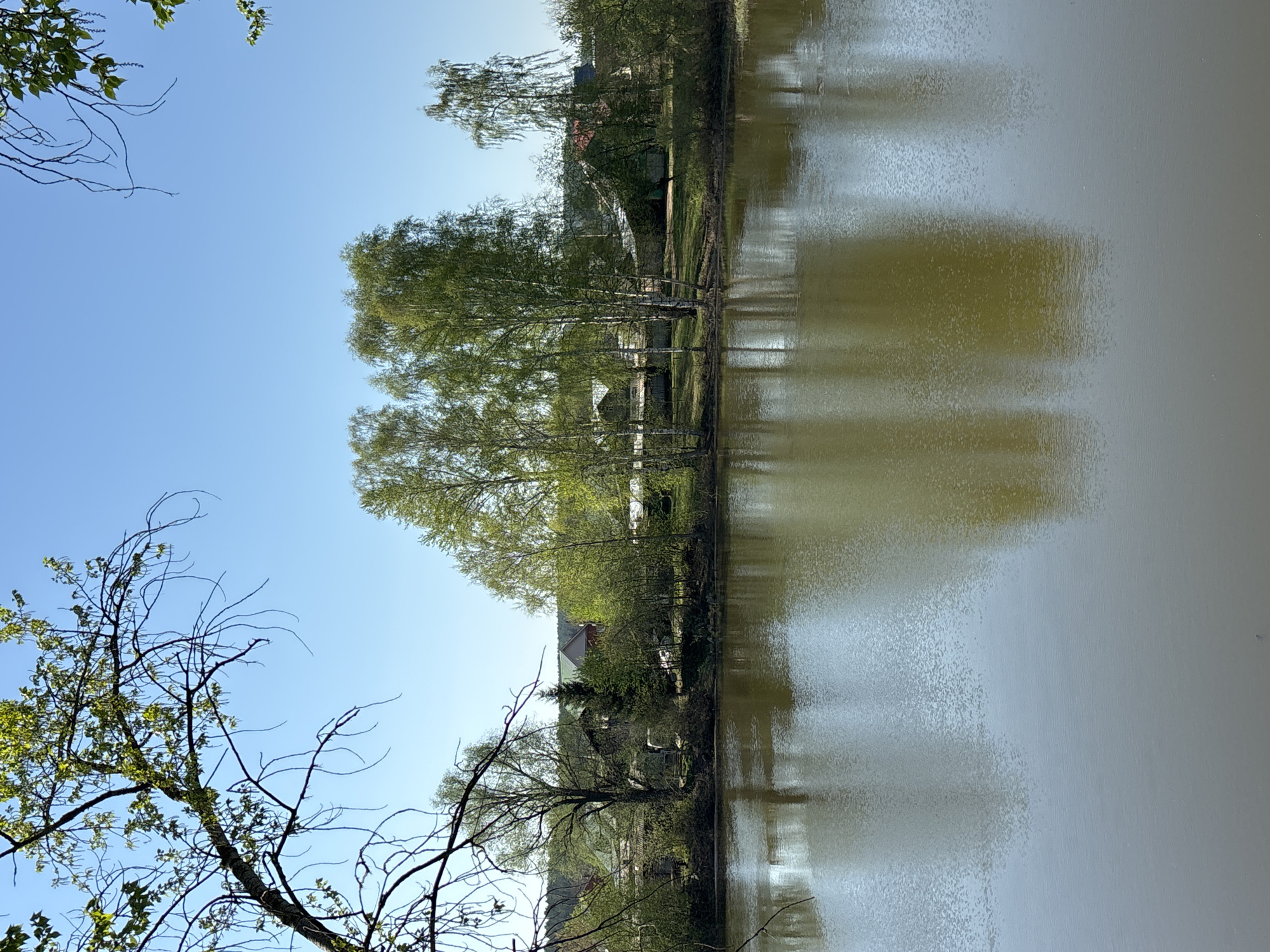 The image depicts a body of water reflecting a landscape, likely a pond or lake. The surrounding environment features trees with early spring foliage and some bare branches, suggesting a transitional season. Some structures, possibly houses or buildings, are visible among the trees. The sky above is a clear blue. The image is from Chaikovsky, Russia, and is an outdoor landscape photograph, possibly taken on the outskirts of the town near a pond or lake. The image may have been taken in the early spring season.
