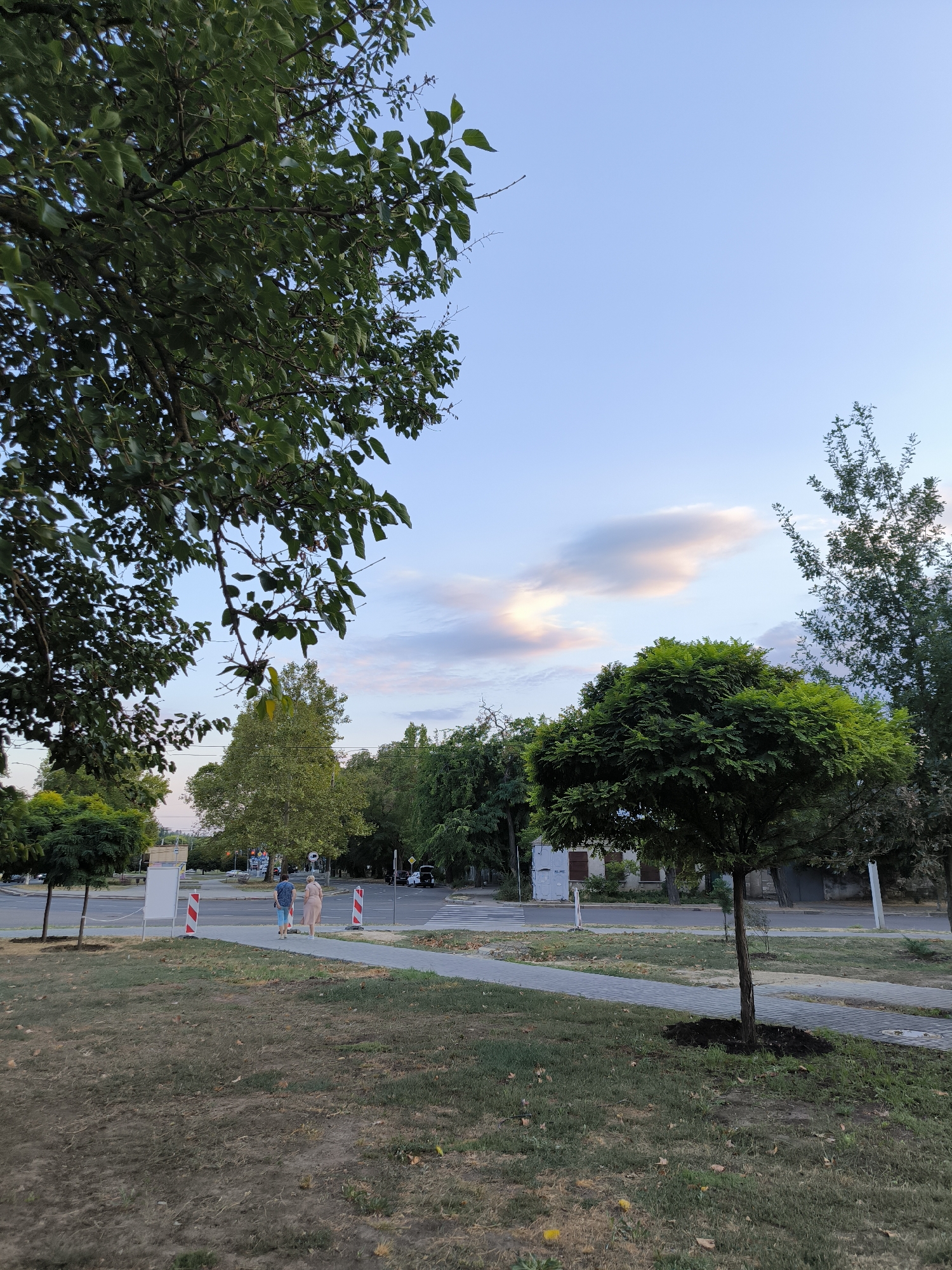 The image depicts a daytime scene in Mykolaiv, Ukraine, featuring a street with a sidewalk, grass, and trees. A paved pathway runs through a grassy area in the foreground. Two individuals, a male and a female, are walking away from the camera on the sidewalk. The street is visible beyond the sidewalk, with cars parked on the side and a crosswalk. Several trees of varying sizes are present, with one particularly large, bushy tree in the right-center of the frame. The sky is partly cloudy with a hint of pink and orange hues, suggesting it may be late afternoon or early evening. Several buildings and what appear to be signs are visible in the background. The overall impression is a serene urban landscape.