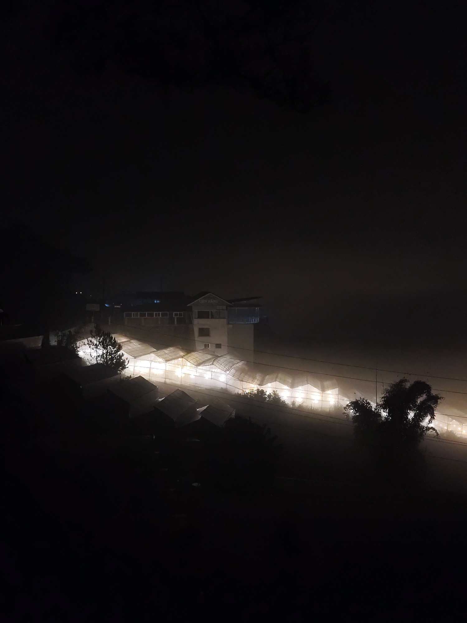 This nighttime photograph captures a misty landscape in Lang Biang, Da Lat, Vietnam, seen from an elevated vantage point. The scene is dominated by a dark sky and the diffused glow of artificial lights emanating from structures below.
In the mid-ground, a multi-story building, likely a guesthouse or lodge, stands prominently. Its upper facade clearly displays the text "LANG BIANG". Adjacent to and extending across the lower half of the frame are numerous greenhouse-like structures. These are brightly lit from within, casting a warm, yellowish light that permeates the thick fog or mist, creating a soft, ethereal glow across the terrain. The mist significantly diffuses the light, obscuring clear views of the structures' interiors but highlighting their overall forms.
Dark silhouettes of trees and foliage are scattered throughout the image, contrasting with the illuminated areas. Some trees are directly in front of the glowing greenhouses, while others recede into the deep shadows of the foreground and background. Faint distant lights suggest other settlements or structures further in the landscape, barely visible through the atmospheric conditions.
The time of day is night, with the heavy fog adding a dramatic and mysterious quality to the scene. There are no visible people or explicit activities, contributing to a sense of quietude and isolation. The visible text "LANG BIANG" directly references the specified location context.