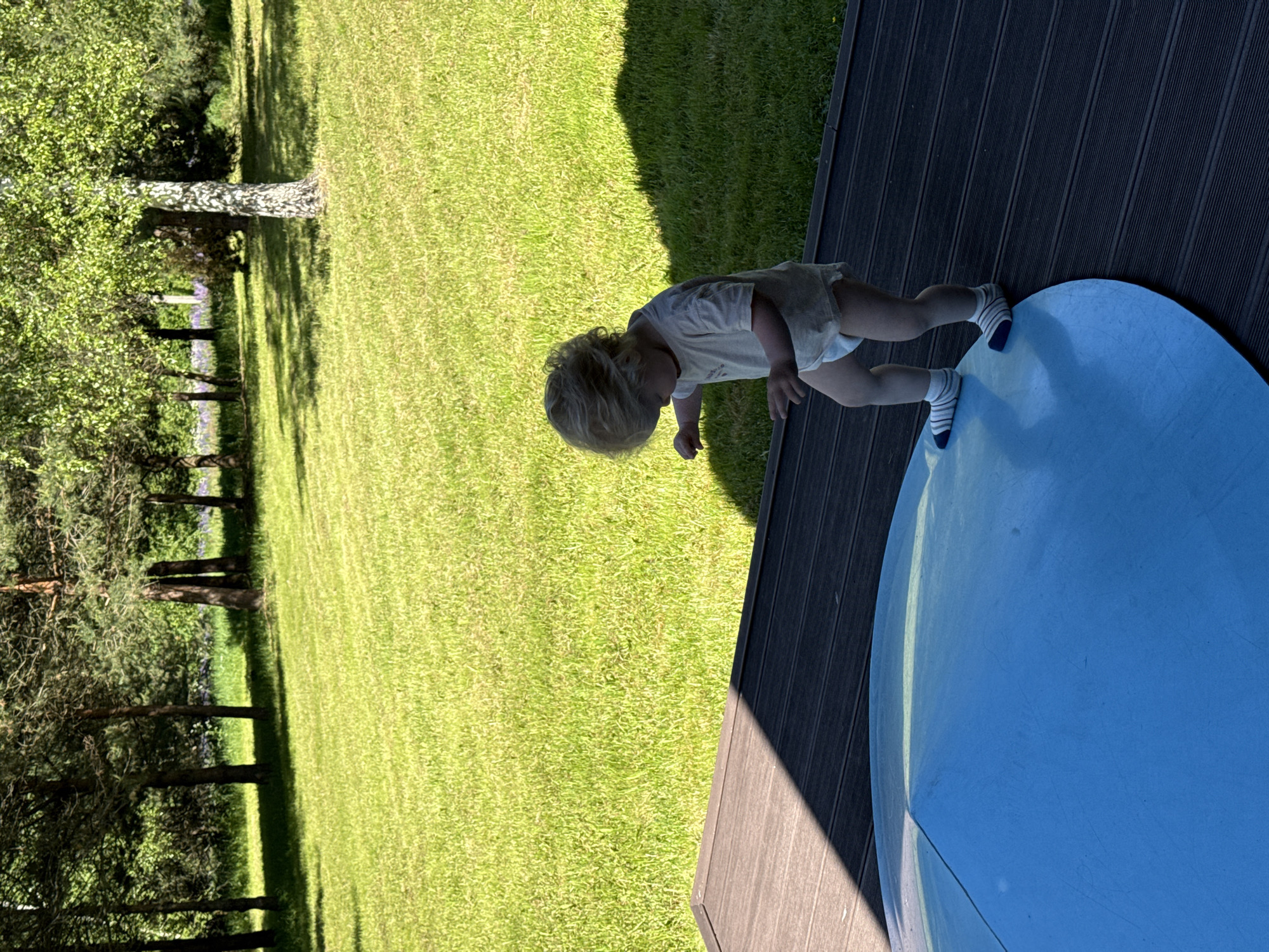 The image depicts an outdoor scene in Копнино, Russia, on a bright, sunny day. A young child, appearing to be a toddler with light blonde, curly hair, is positioned towards the lower center-right. The child is wearing a light-colored short-sleeved t-shirt, a white diaper, and white socks with blue and red stripes. The child's gaze is directed downwards, towards their feet and a large, round, blue object on the ground.
The child is standing on a dark grey or brown composite deck with horizontal grooves. The right foot of the child is partially placed on the blue object, which appears to be a flat or slightly domed cover, possibly for a trampoline or a small pool, flush with or resting on the deck surface. A seam or fold is visible across the blue surface.
Beyond the deck and the child, a vibrant green, neatly mown lawn extends across the mid-ground. In the background, a dense line of trees forms a natural boundary. These include tall pine trees with dark trunks and green needles, as well as a prominent birch tree with a distinctive white trunk and bright green leaves on the right side of the background. Hints of purple vegetation or flowers are discernible amongst the trees in the distance. The sunlight casts distinct shadows on the deck from an unseen object to the left, and shadows from the trees are visible on the lawn, indicating a clear, sunny sky.