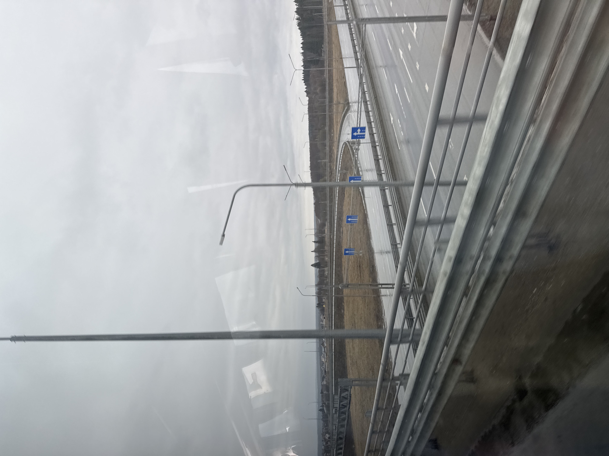 The image shows a view from a vehicle, likely a car or bus, traveling on a highway near Kukushtan, Russia. The highway has multiple lanes in each direction, separated by a median with road signs indicating directions of travel. Streetlights line the highway. Beyond the road, there is a strip of grassland or open field, bordered by a line of trees in the distance. The sky is overcast and grey, suggesting a cloudy day. The scene appears to be taken from a bridge, as railings are visible in the foreground. The road surface appears wet, possibly due to recent rain.