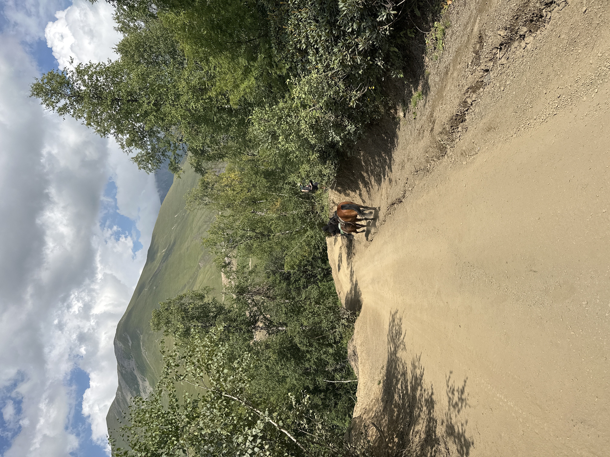 The image depicts a dusty, unpaved mountain road in the vicinity of Lunnaya Polyana, Russia. A brown horse, partially obscured by foliage and other horses, is being ridden up the road. The road is flanked by dense green trees and vegetation on either side, with a steep, grassy mountain in the background under a cloudy sky. The road itself appears to be a well-trodden dirt path, showing signs of erosion and tire tracks. The overall scene suggests a rural or natural landscape, likely a hiking or equestrian trail.