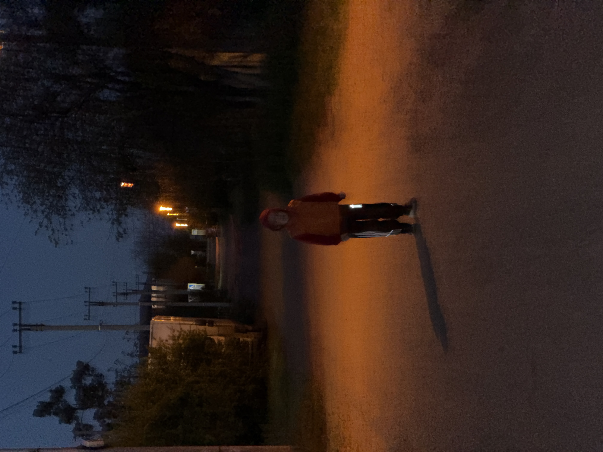 The image, taken in Yuzhny, Russia, depicts an outdoor scene at dusk or night, illuminated by artificial light sources. The primary subject is a person standing on a paved path or road, which is strongly lit with a warm, orange glow. The individual is wearing a red or orange hooded top and dark trousers with reflective stripes on the outer seams of the legs. A prominent, elongated shadow stretches behind them on the ground.
To the left of the path, a dark silhouette of trees and foliage dominates the background, indicating a tree-lined area. Several streetlights emit bright orange-yellow light, appearing through and beyond the tree line, illuminating portions of a street or area further back. Utility poles with wires are visible on the far left side of the image, alongside what appears to be a white vehicle or structure. The sky is a dark, deep blue, transitioning from twilight to night. The person appears to be standing still, facing forward. No specific activity or emotion is discernible, and no readable text is visible.