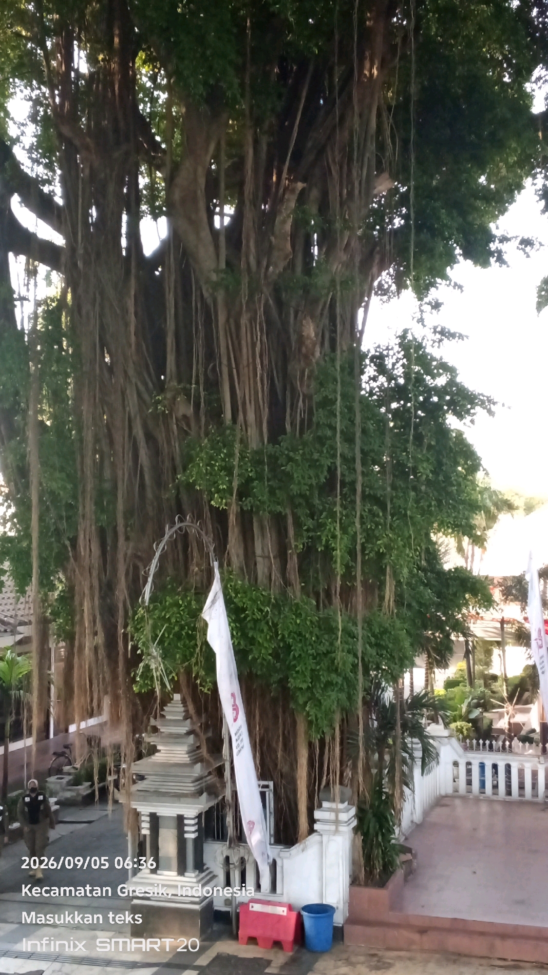 A large banyan tree dominates the frame, its thick trunk and numerous aerial roots creating a dense canopy. In the foreground, a small, tiered, temple-like structure stands to the left of center. Two white flags are visible, one draped over a metal structure near the temple, and another to the right of the frame. To the right of the temple, a red plastic bin and a blue plastic bin are present. In the background, a white fence with vertical posts encloses an area with some greenery. A person in a dark uniform walks away from the camera on the left side of the image. Text overlays indicate the date "2026/09/05 06:36", the location "Kecamatan Gresik, Indonesia", and the device "Infinix SMART 20".