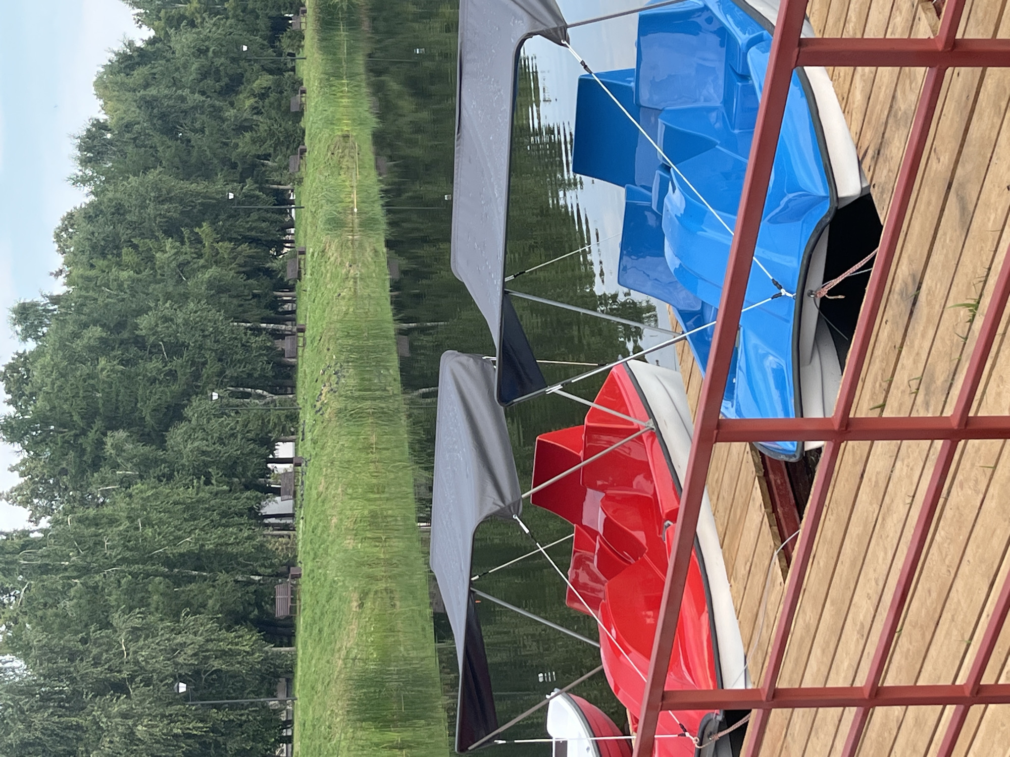 In Oktyabrsky, Russia, two paddle boats are docked on a wooden pier. One boat is bright red with a black canopy, and the other is bright blue with a black canopy. The boats are situated on a calm body of water. In the background, a lush green lawn slopes down to the water, with a line of trees forming a dense forest. Several park benches and lampposts are visible amongst the trees. The sky is overcast.