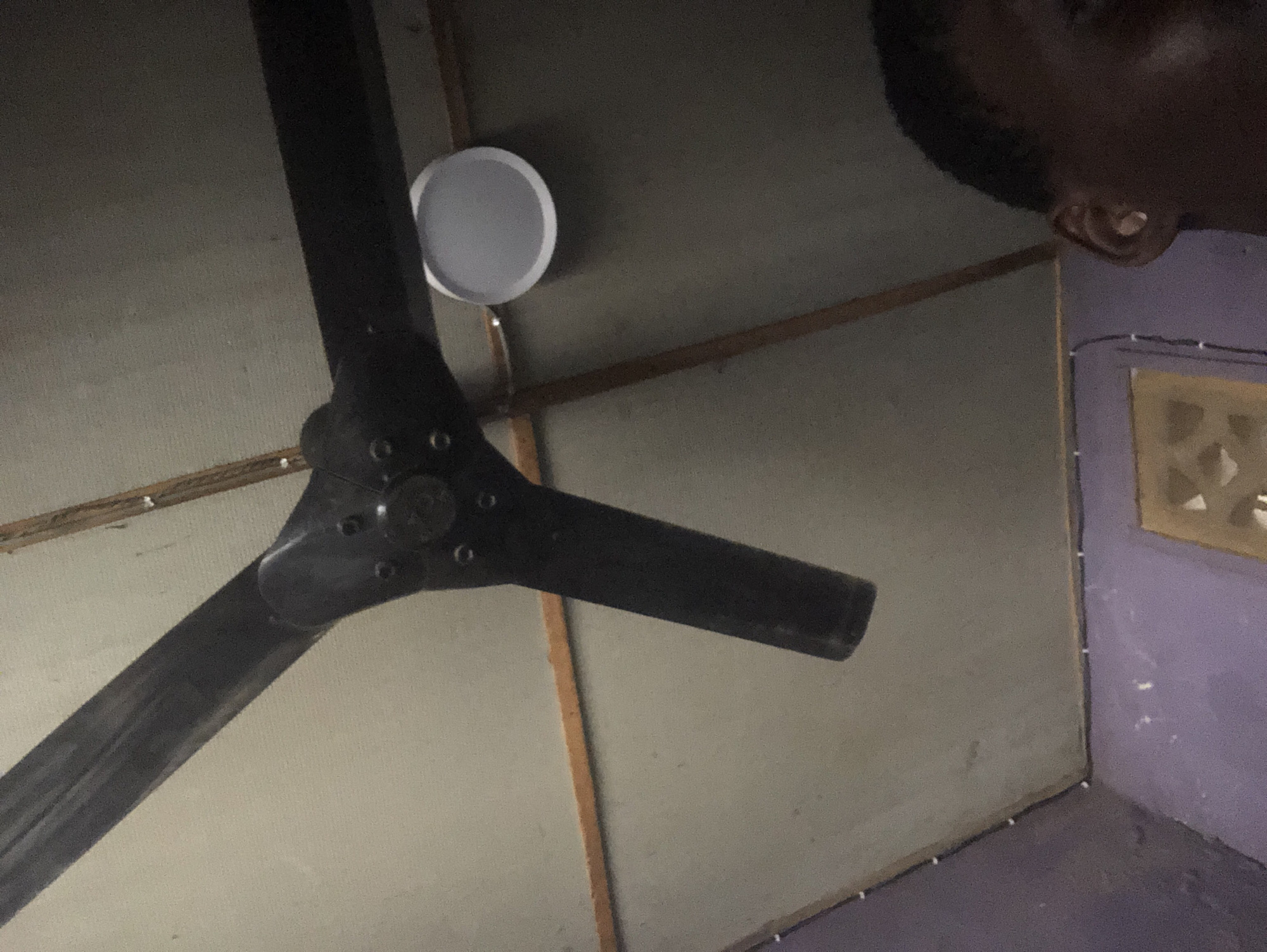 A low-angle shot depicts a black three-blade ceiling fan, mounted on a white, disc-shaped fixture. The fan is suspended from a ceiling constructed with light-grey panels trimmed with wood. To the right, a wall transitions from light-grey to purple. A rectangular vent with a diamond pattern is visible on the purple wall. Part of a person's head, including an ear, is visible in the upper right corner. The location is labeled Unknown, Unknown.