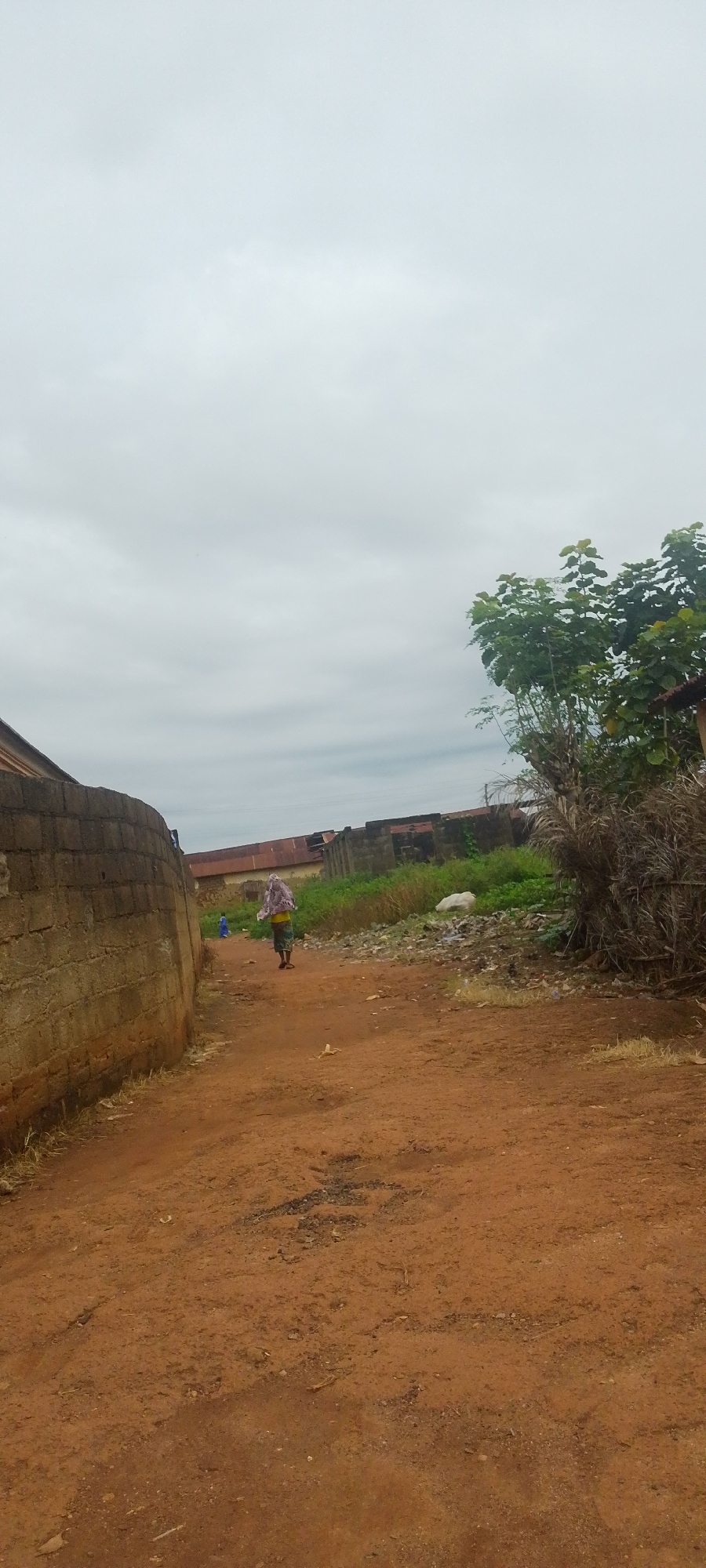 The image depicts a rural scene in Baissa, Nigeria. The foreground is dominated by a dusty, reddish-brown dirt path, suggesting a dry or seasonally dry environment. A rough, low wall made of concrete blocks lines the left side of the path, indicating a built-up area or a property boundary.
Further down the path, two figures are visible. One is a person, likely a woman, walking away from the camera. She is wearing a yellow garment and a patterned cloth draped over her head. She appears to be carrying something on her head, partially obscured by the cloth. In the distance, a smaller figure, possibly a child, is also walking on the path, facing the same direction.
The background features a collection of buildings with corrugated metal roofs, some appearing weathered and in disrepair. Vegetation, including a large tree with broad leaves and dry grasses, is interspersed between the structures and along the right side of the path. There are also piles of debris and trash visible, suggesting an area with informal waste disposal.
The sky is overcast with a layer of gray clouds, indicating a cloudy or potentially rainy day. The overall lighting is diffused, suggesting it is daytime, but the lack of direct sunlight implies it could be morning or late afternoon, or simply a heavily overcast day. The scene conveys a sense of everyday life in a rural or semi-urban Nigerian setting. There is no visible text in the image.