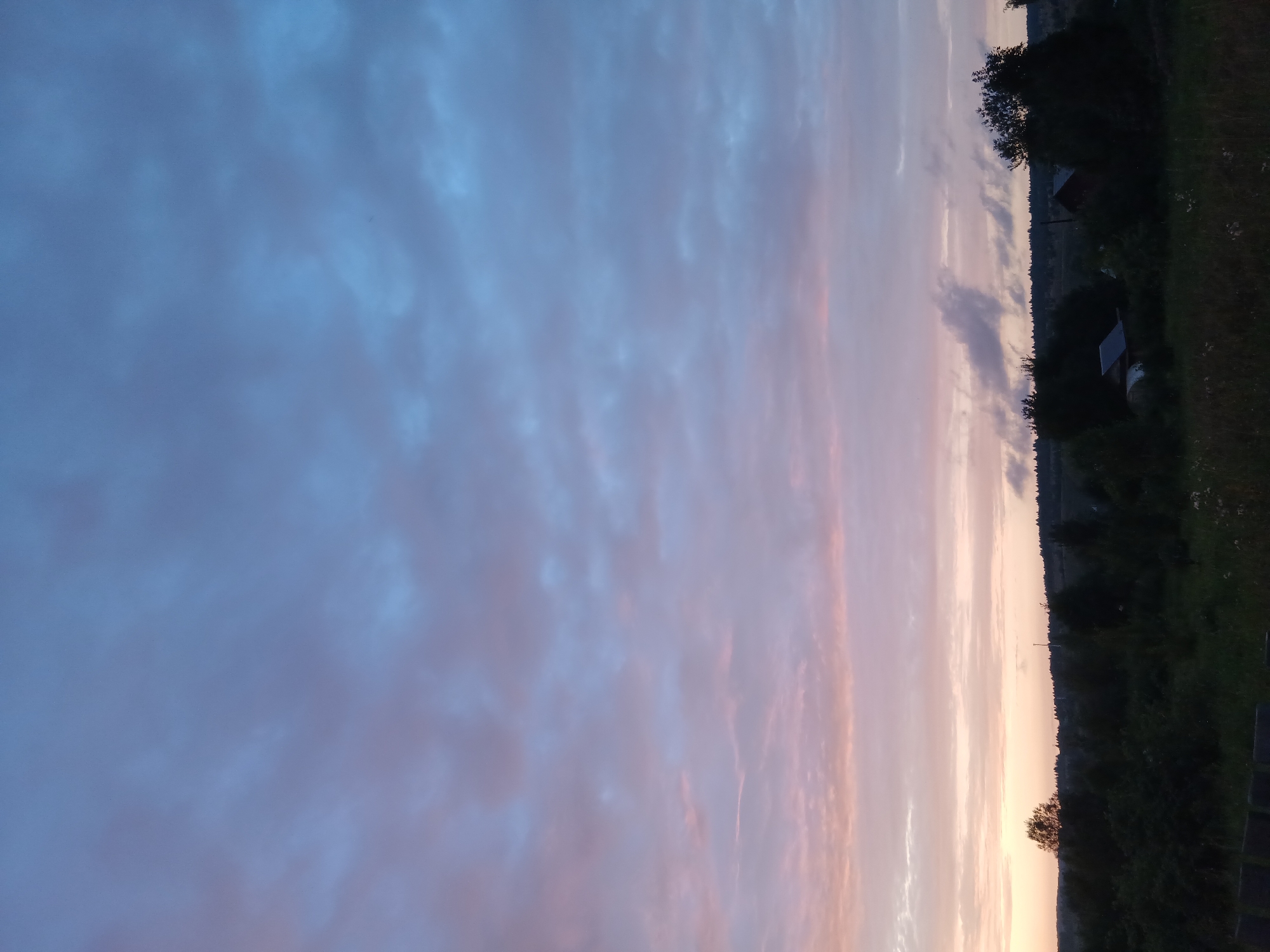 The image depicts a rural landscape under a dusky sky. The sky transitions from pale pinks and oranges near the horizon to deep blues and purples higher up, with scattered, textured clouds. Silhouetted against this sky is a tree line forming a distant horizon, punctuated by the dark shapes of trees and some low-lying structures. In the foreground, dense, dark vegetation dominates, with hints of grass and possibly a wooden fence visible at the bottom edge. The overall impression is one of twilight in a quiet, natural setting. The location is identified as Bolshaya Usa, Russia.