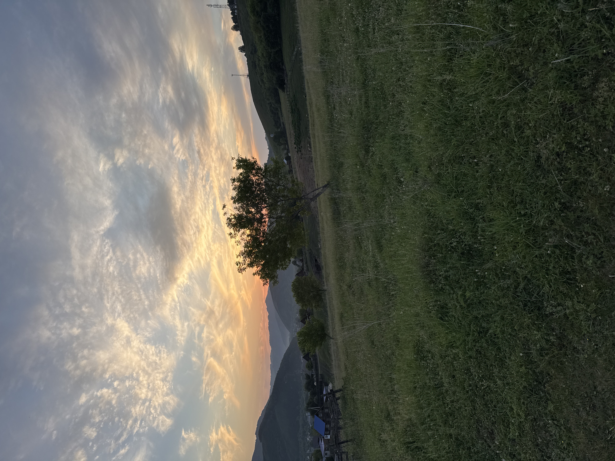 This is a landscape photograph taken at sunset in the village of Soloneshnoye, Russia. The foreground is dominated by a grassy field with scattered wildflowers. A single, sparsely leaved tree stands in the middle ground to the right of center, its trunk leaning slightly. In the background, rolling hills form a natural backdrop, with a small village nestled in the valley between them. Several houses with blue roofs are visible in the village, along with a wooden fence. The sky is filled with a dramatic sunset, featuring streaks of orange, yellow, and gray clouds against a pale blue sky. The light suggests it is late evening. No people are visible in the image. The overall scene depicts a rural, natural environment under a colorful sunset sky.