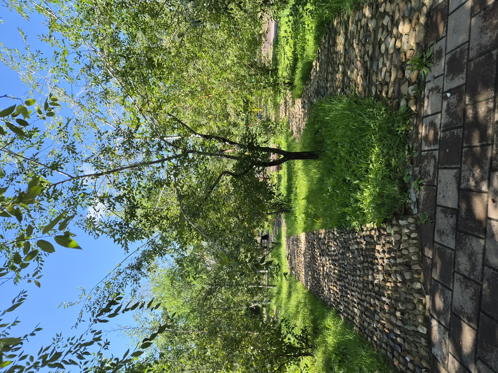 The image depicts a park scene with two meandering paths made of rounded pebbles, separated by lush green grass and surrounded by trees. The paths lead into the distance, disappearing among the foliage. In the foreground, a paved walkway of rectangular stones is visible. The sky is clear and blue, with sunlight filtering through the leaves of the trees, casting shadows on the paths. There are no people visible in the image. The location is identified as a park in Chita, Russia.