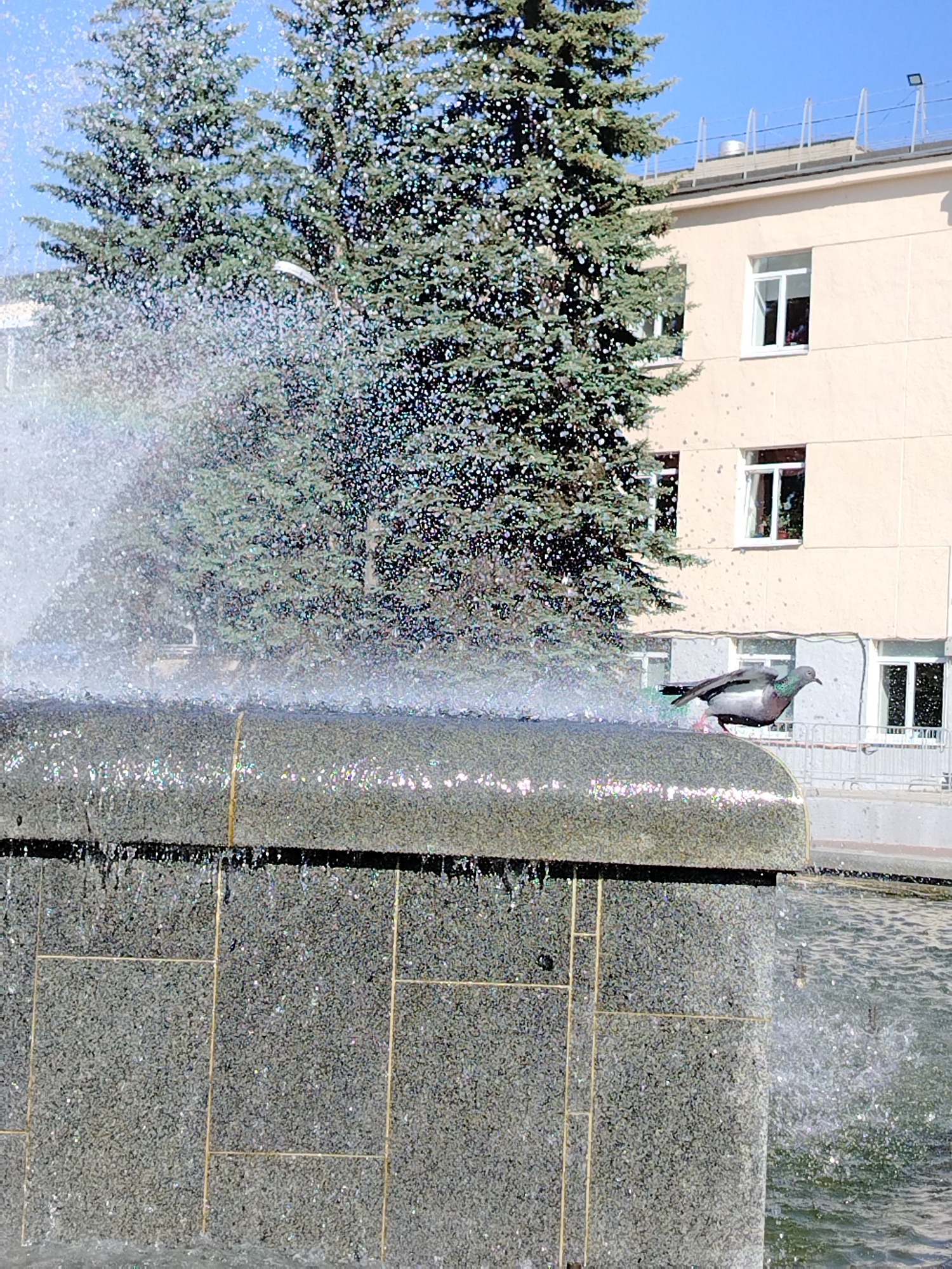 The image depicts a fountain in Chaikovsky, Russia. The fountain has a gray, textured stone base and a curved top, with water spraying from it, creating a shimmering effect. A pigeon stands on the edge of the fountain. In the background are two evergreen trees and a light-colored building with several windows. The sky is light blue.