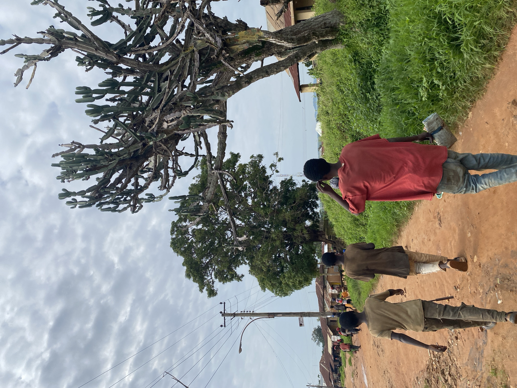 The image captures a dirt road in Rafin Sainyi, Nigeria, under a cloudy sky. Three young males walk away from the camera on the road. The male in the foreground wears a red t-shirt and blue jeans, carrying a rolled-up object in his right hand. To his left, another male in a brown t-shirt and light-colored pants walks ahead. A third male, to the far left, wears a green t-shirt and dark pants. In the background, several small buildings with corrugated metal roofs line the left side of the road. A large, leafy tree stands behind the buildings, and a power pole with multiple wires is visible near the left edge of the frame. To the right of the road, lush green vegetation and a large, dry, tree-like plant with many branches are prominent. Additional figures and structures are faintly visible in the distance.