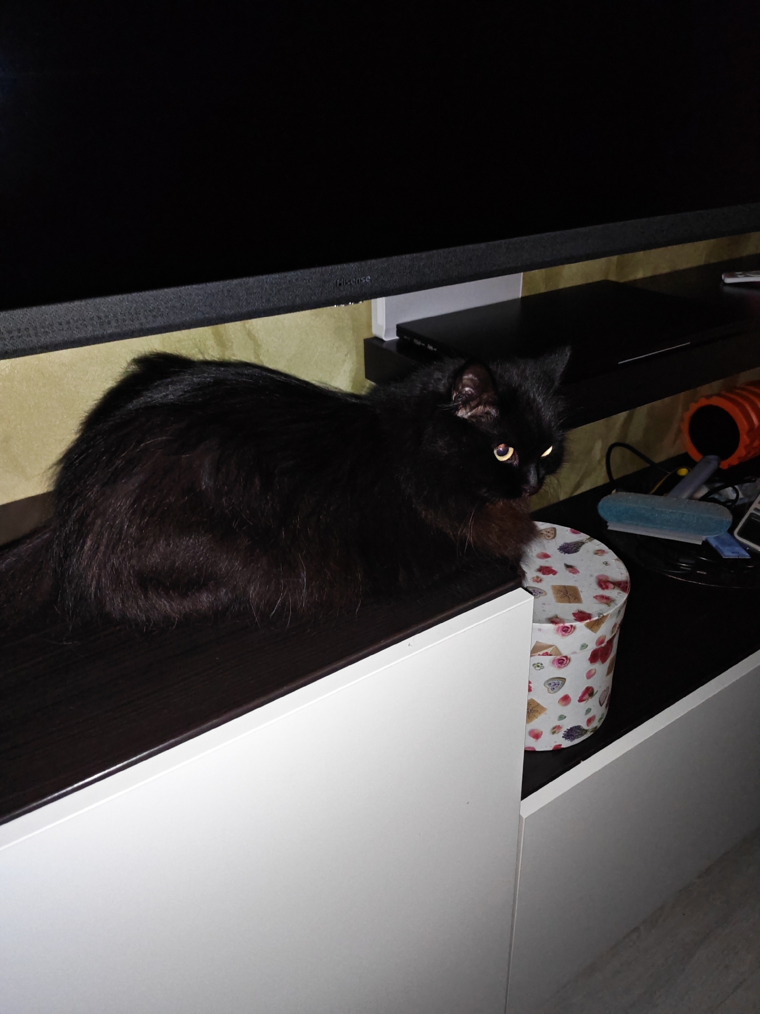 A fluffy black cat with yellow eyes is lying on a dark brown shelf. The cat is positioned to the left of a round, decorative box with a floral pattern. The shelf is part of a dark wooden entertainment center situated in what appears to be a living room in Bataysk, Russia. A black television screen is visible above the shelf, and to the right, there are various objects including a remote control, a blue brush, and an orange cylindrical item. The environment is dimly lit, suggesting it is nighttime or the room is not well-lit. The cat's fur is long and appears somewhat tousled, and its gaze is directed forward and slightly to the right.