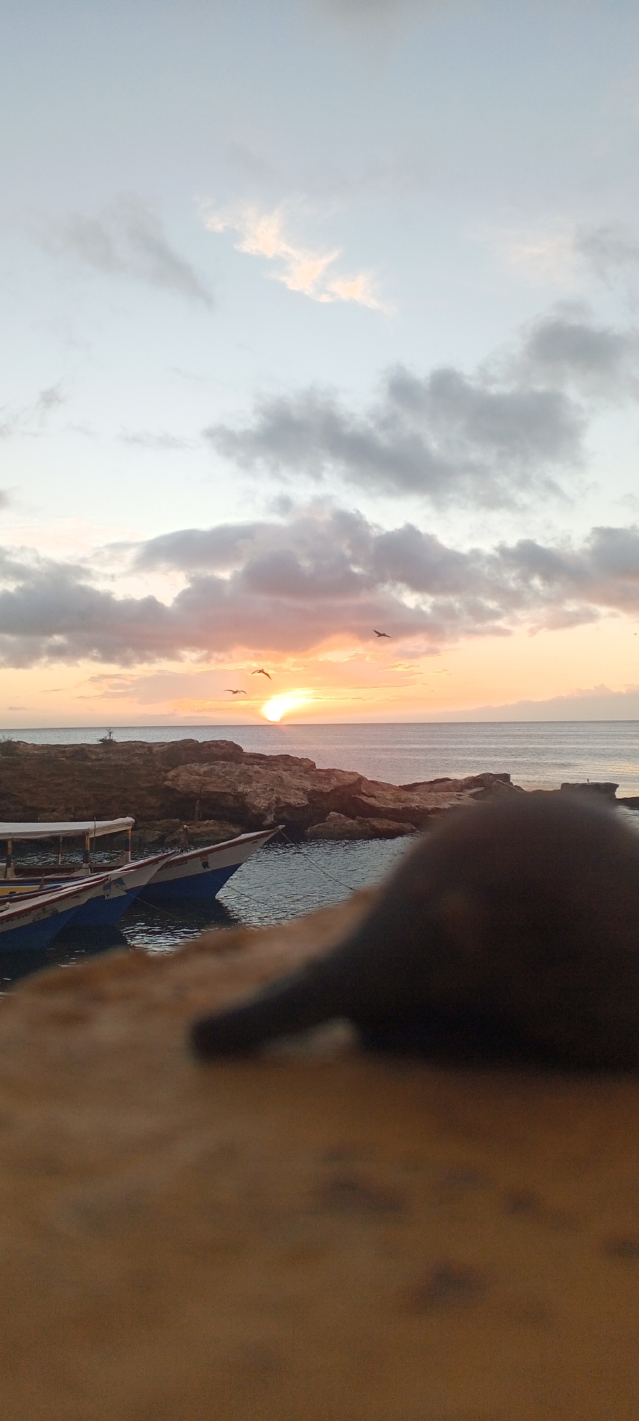 An outdoor, low-angle, vertical, full shot captures a coastal sunset scene in Juan Griego, Venezuela. The sky is a soft gradient of pale blue at the top, transitioning to hues of orange and pink near the horizon. Several wispy, gray clouds are scattered across the sky, with brighter, illuminated edges catching the sunset light. Three birds are silhouetted against the bright sky, two closer to the left and one further to the right. The sun, a bright orb, is partially obscured by the horizon, casting a warm glow over the scene.
Below the sky, a rocky coastline juts out into the calm, blue ocean. The water reflects the colors of the sky, with ripples visible on its surface. In the foreground, partially submerged in the water, are several small fishing boats. They are painted in vibrant blues and whites, with white canopies. One boat is tied to a mooring rope.
In the immediate foreground, the bottom third of the image is dominated by a blurred, dark, rounded object, possibly a cap or a hat, lying on a textured, wooden surface. The wooden surface is a warm, light brown color with darker speckles. The blurring suggests a shallow depth of field, drawing the viewer's eye towards the sunset and the boats. The overall impression is of a peaceful, serene moment at the end of the day.