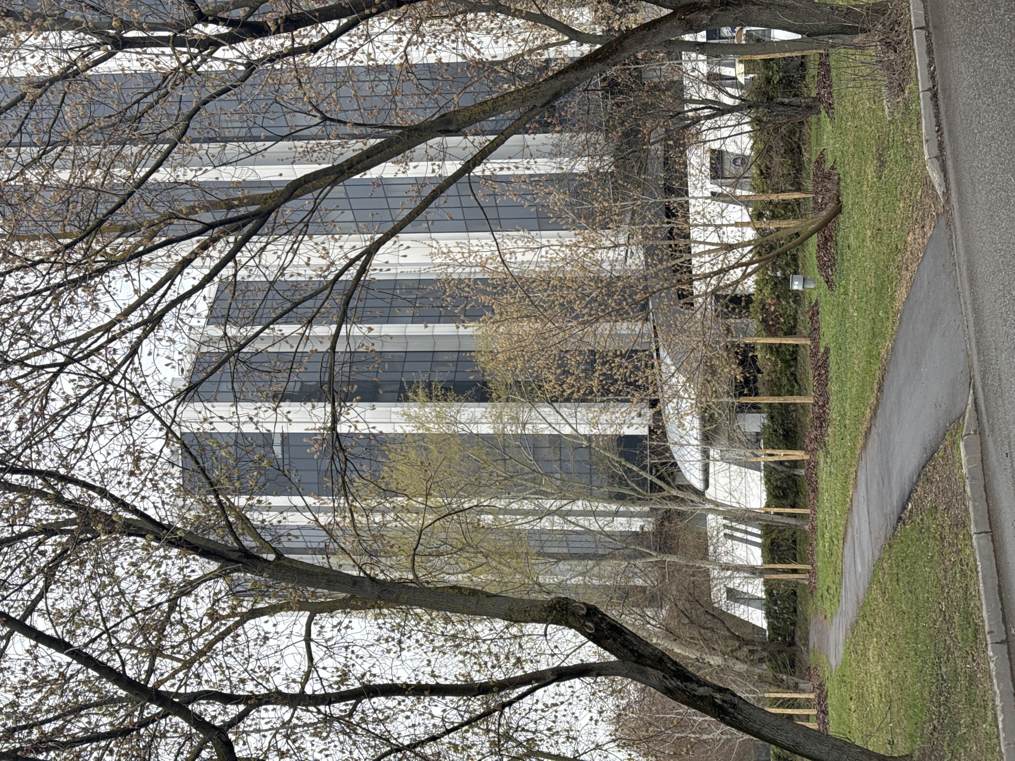 The image shows a building in Moscow, Russia, viewed through bare trees. The building has a modern design with horizontal stripes of white and gray windows. A paved sidewalk runs alongside a grassy area with trees. There are no people visible in the image.