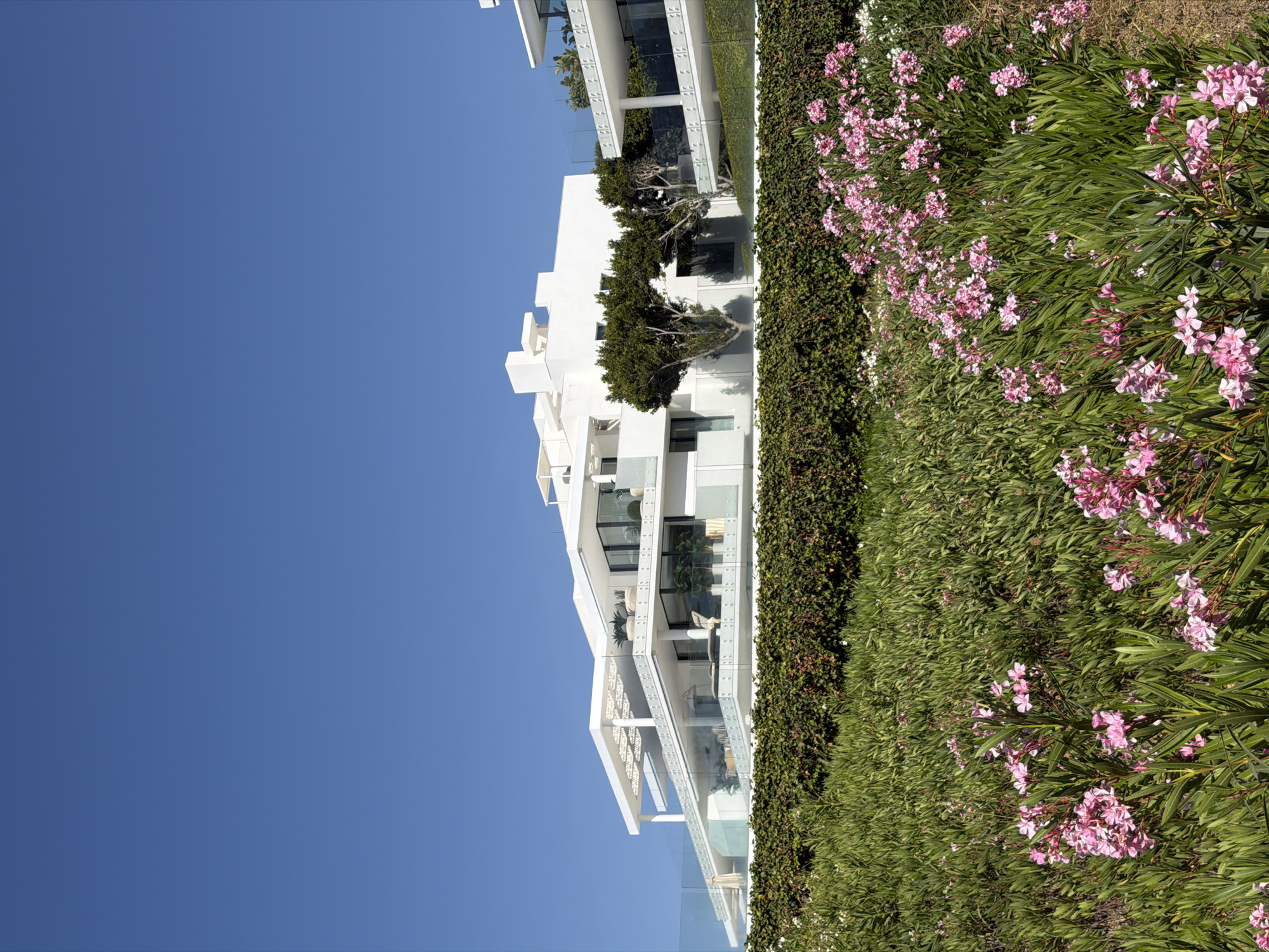 This image depicts a luxurious modern white building situated on a hillside in Estepona, Spain. The building features multiple levels with large glass balconies and windows, offering expansive views. Lush green foliage and vibrant pink oleander flowers fill the foreground, with a dense hedge separating the garden from the building. The sky is a clear, bright blue. No people are visible in the scene.