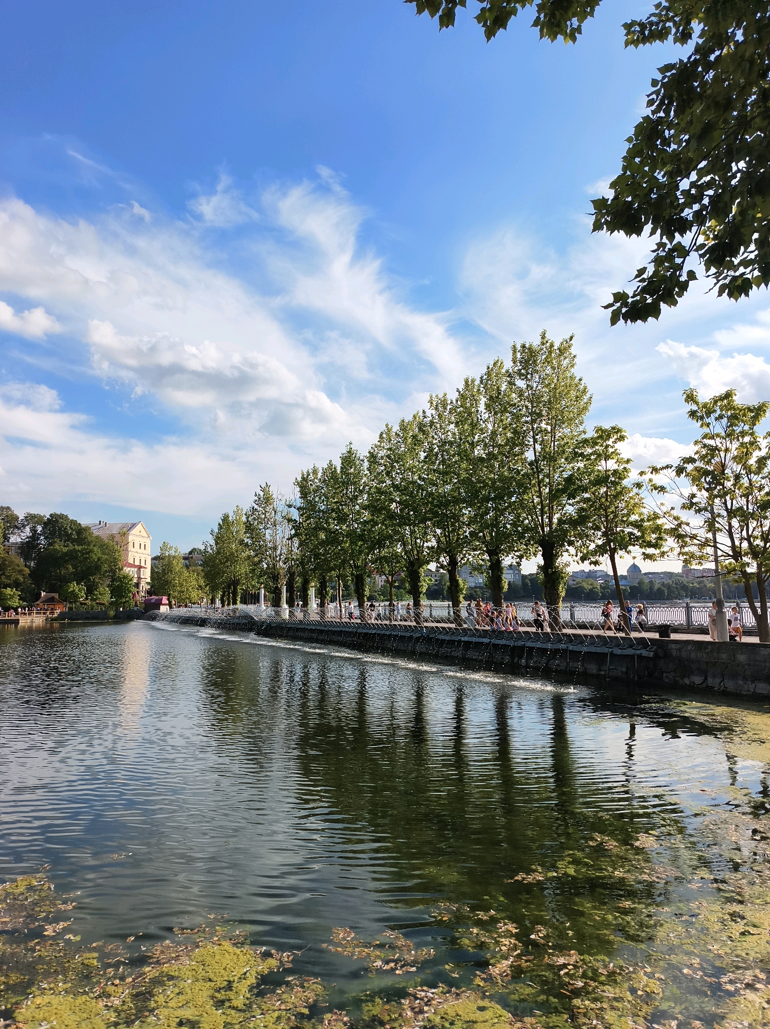This image depicts a daytime scene at the Ternopil Pond (Ter-no-pilskyi Stav) in Ternopil, Ukraine. The foreground is dominated by the pond's surface, which is partially covered with green algae and fallen leaves. A concrete embankment lines the edge of the pond, with a row of trees planted along it. Beyond the trees, a walkway is visible with several people strolling. A fountain system runs along the embankment, with water jets creating a spray. In the background, on the left, a light-colored, multi-story building with a prominent roof is situated among lush green trees. The sky above is a vibrant blue, with scattered white clouds, some appearing wispy and feathery. The overall atmosphere suggests a pleasant day in a park-like urban setting.
