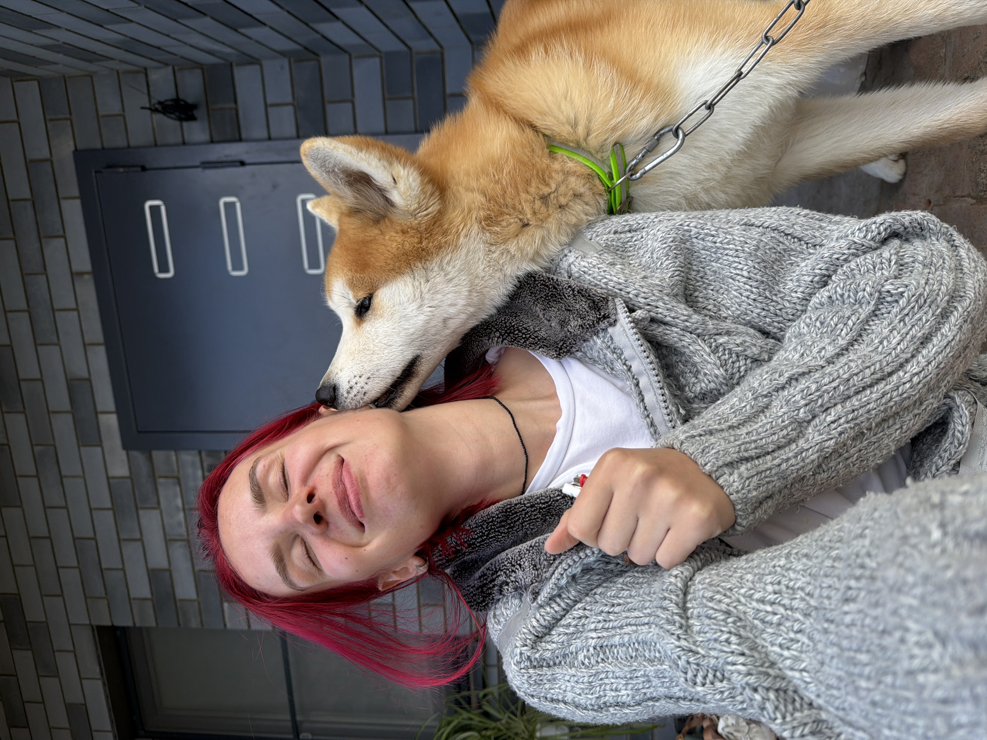A heartwarming portrait captures a person and a dog in an affectionate moment, likely outdoors in Chaikovsky, Russia. The image is oriented vertically, showing a female subject with vibrant red hair, wearing a thick grey knitted cardigan over a white t-shirt. She has her eyes closed and a wide, joyful smile, conveying deep contentment. Around her neck, she wears a thin black beaded necklace. A small red and white object, possibly a lighter, is visible in her cardigan's chest pocket.
Resting its head gently on her shoulder and neck is a light brown and white dog, resembling an Akita or Shiba Inu, with thick fur and pointed ears. The dog wears a neon green collar attached to a metal chain leash, which is partially visible. The dog's pose suggests a calm and affectionate interaction with the person.
The background features a dark grey door with three distinct white rectangular inserts, set against a textured wall of dark grey bricks or tiles. The lighting is bright and even, indicating daytime. The scene evokes a sense of companionship and happiness between the human and their canine friend. There is no visible text in the image.
