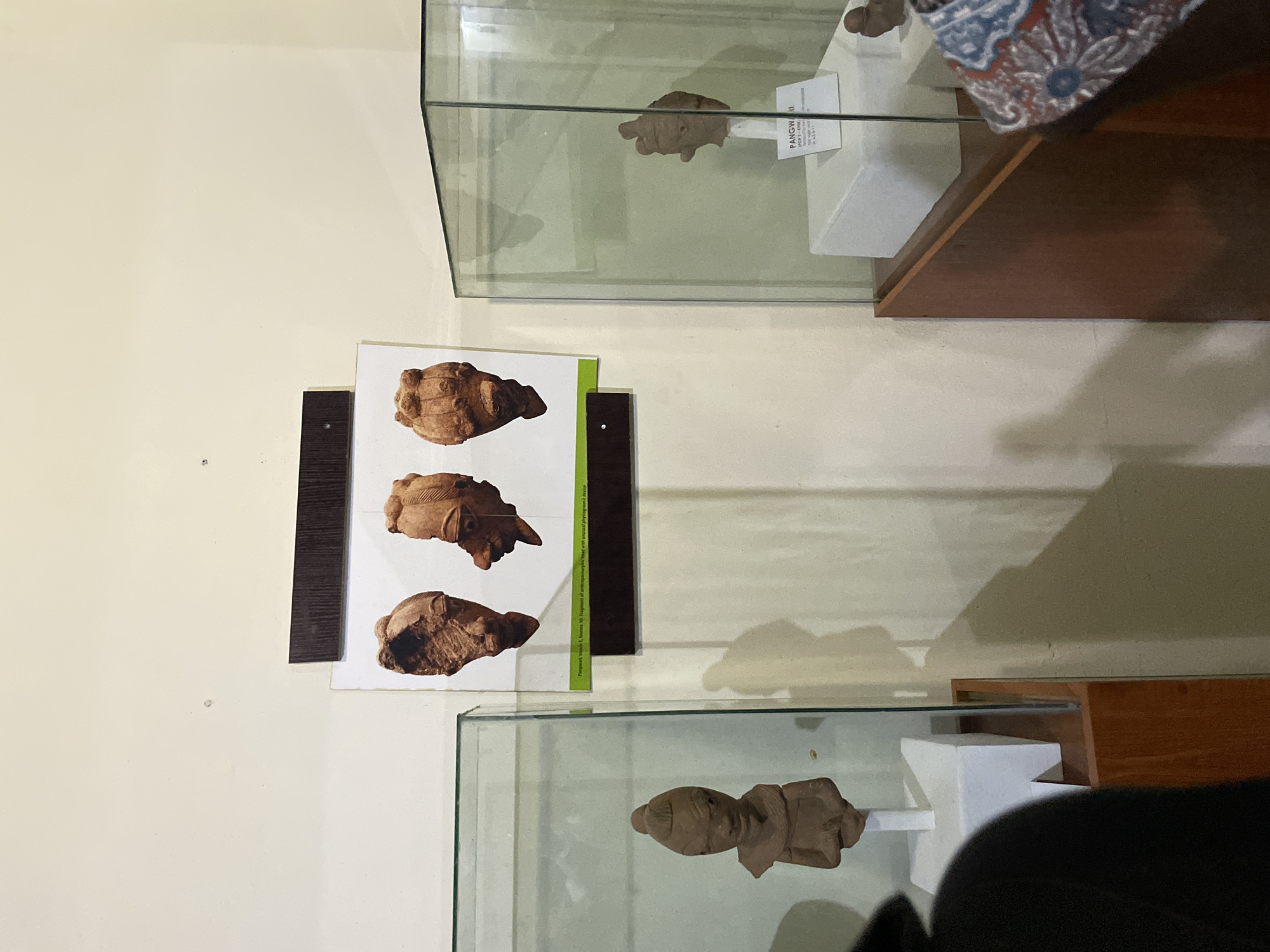 This media file shows a museum exhibit featuring ancient artifacts. The primary subjects are three clay figurines, possibly heads, displayed on a white card mounted on a dark background. These figurines appear to be anthropomorphic and show signs of age and detailed craftsmanship, with visible textures and forms suggesting human-like features.
In the background, there are glass display cases, indicating an indoor museum setting. One case showcases another clay artifact, a head with distinct features, resting on a white pedestal. A label next to this artifact reads "PANGWRI" and "Pangwari, trench E, feature 10. Fragment of anthropomorphic head with unusual physiognomic design." This text provides specific information about the artifact, including its origin and characteristics.
The overall scene is illuminated by artificial lighting, casting shadows on the wall and the display cases, suggesting an indoor environment. The wall is a light, neutral color. The exhibit appears to be organized with care, presenting historical objects to the public. The context provided suggests the location is Unguwar Shanu, Nigeria, which aligns with the potential cultural significance of the artifacts. The mood is one of historical preservation and educational display.