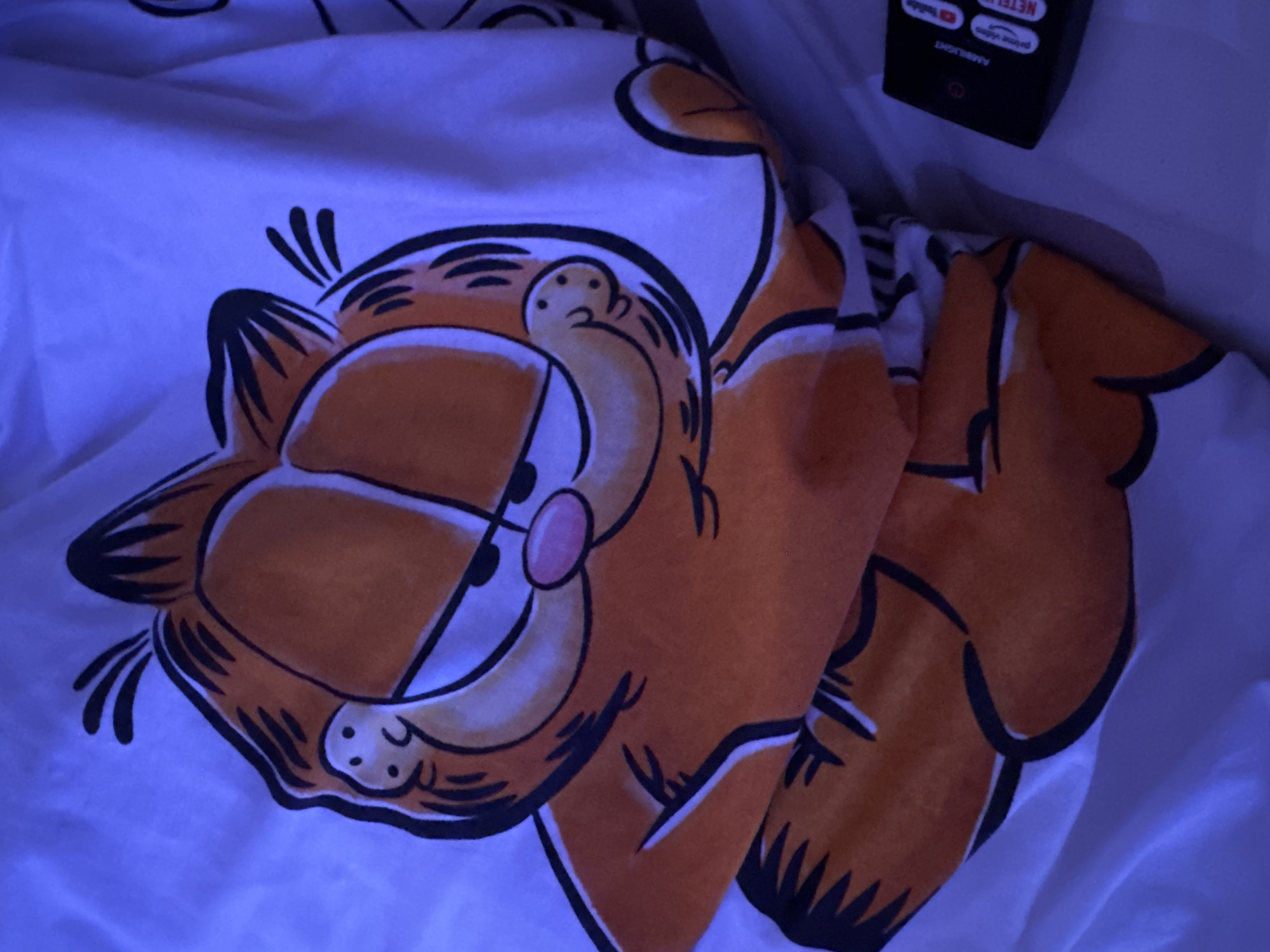 A Garfield-themed pillowcase with the character's face prominently displayed lies on a white surface, possibly a bed. The pillowcase is folded, obscuring parts of the design. A black remote control with several buttons and logos, including "AMBILIGHT," "PRIME VIDEO," "YouTube," and "NETFLIX," is positioned to the right of the pillowcase. The scene is illuminated by a cool, blue light, casting shadows and giving the image an overall cool tone. The location is Plovdiv, Bulgaria.