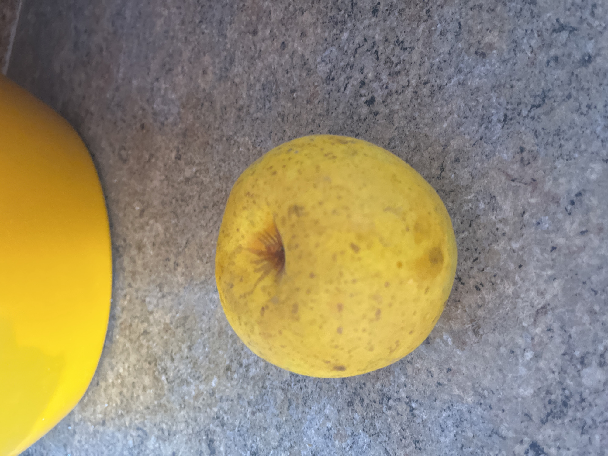 This media file captures a close-up, overhead view of a yellow apple with brown speckles resting on a textured grey surface. The surface appears to be stone or concrete, with visible grains and variations in color. To the left of the apple, a portion of a bright yellow, curved object is visible, possibly a bowl or plate. The lighting suggests an outdoor setting, as indicated by the speckled texture of the surface and the natural, diffused light. The overall impression is one of a simple, still life arrangement. There is no visible text in the image. The location context provided is Bohunove, Ukraine.