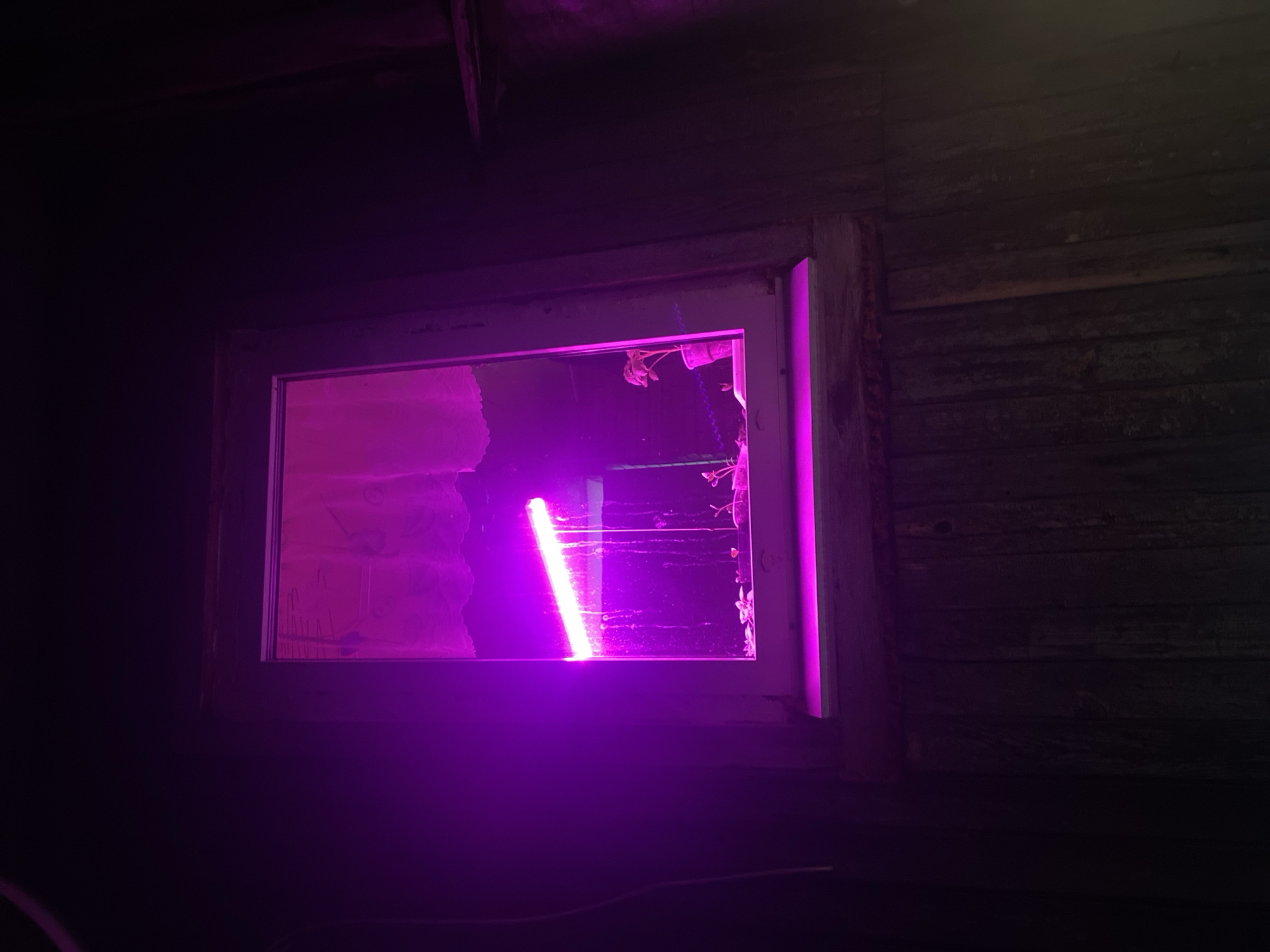 A dimly lit, interior scene features a window with broken glass. A bright, vertical, purple light tube illuminates the window frame and casts a vibrant glow onto the interior. Outside the window, foliage is visible, possibly indicating a garden or natural setting. The window frame appears weathered, suggesting an older structure. The background consists of dark wooden walls. Location is not determinable from image.