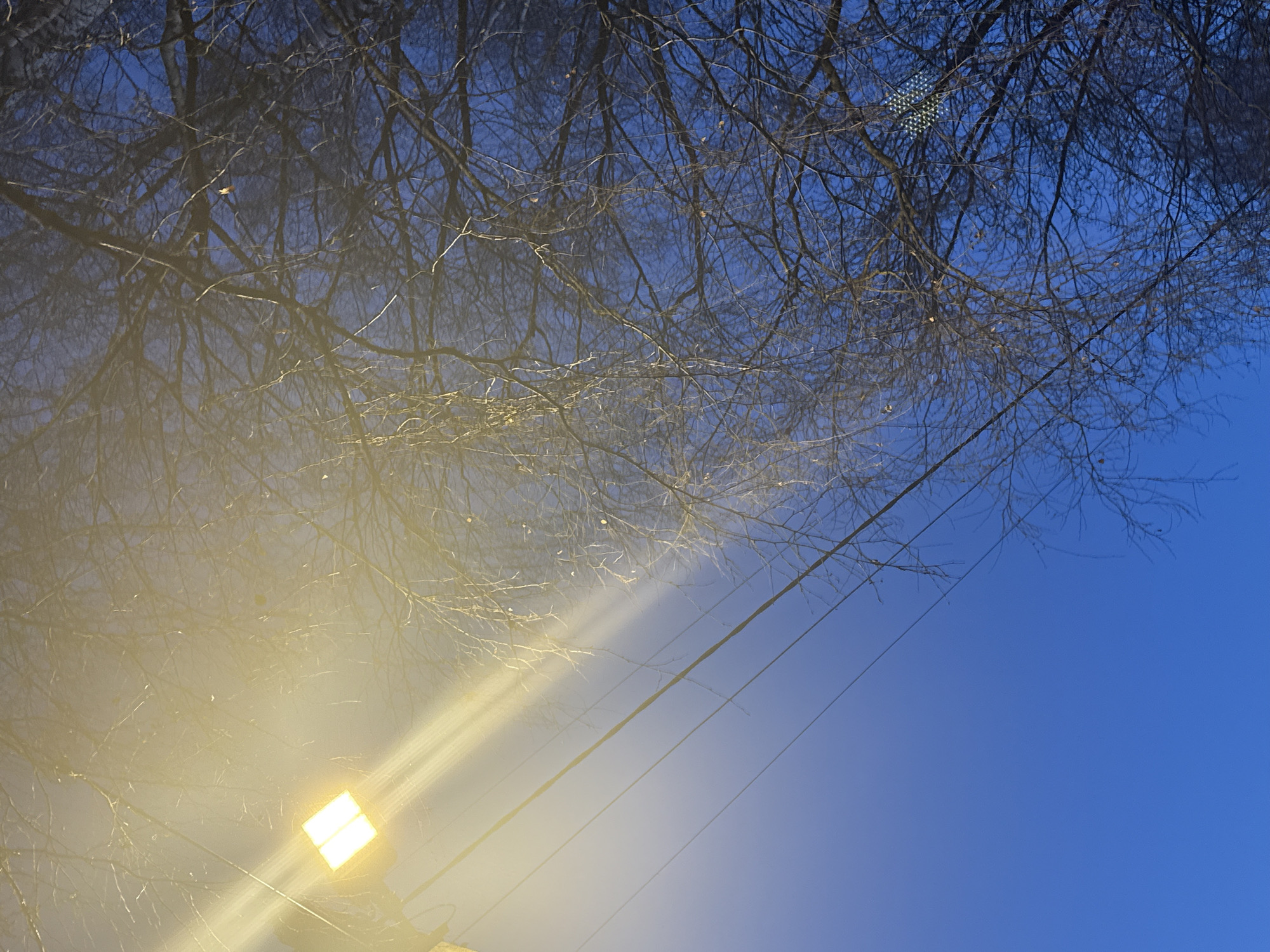 The image depicts a low-angle view of the sky in Dmitrov, Russia. Tree branches, mostly bare, occupy the upper portion of the frame. Power lines run diagonally from the lower left to the upper right. A bright street light with a square-shaped fixture is visible in the lower-left corner, emitting a strong glow. The sky transitions from a light, hazy blue near the light source to a deeper blue towards the upper right. The branches appear to be mirrored or reflected in the haze.