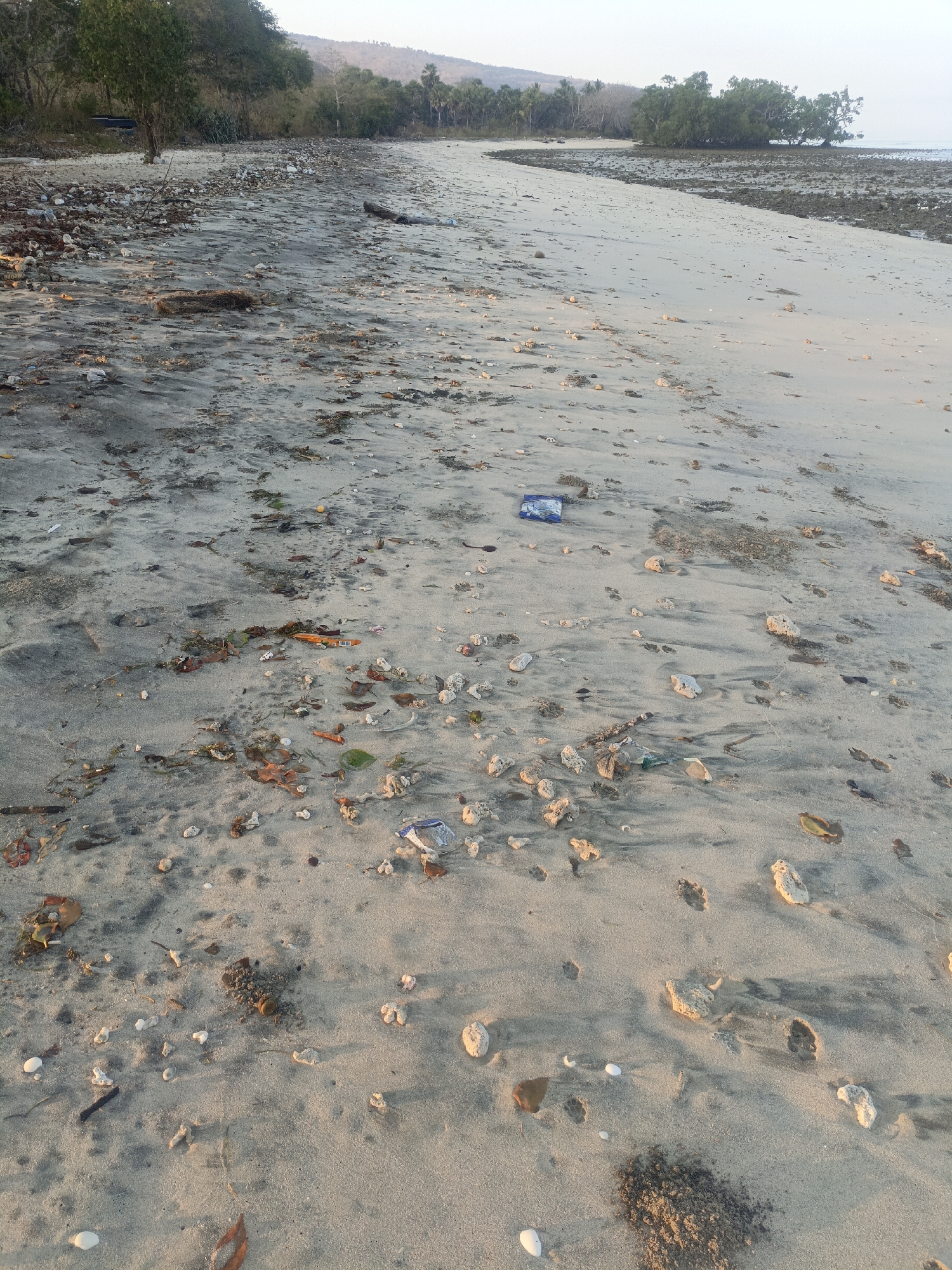 A wide shot of a beach in Solor Barat, Indonesia, is presented. The foreground is dominated by sand, littered with debris including plastic wrappers, leaves, shells, and coral fragments. The sand is a mix of light and dark patches, indicative of tidal marks or varying moisture content. In the mid-ground, the beach stretches out, with more scattered debris visible. The background shows a line of trees and hills under a bright, hazy sky. The overall impression is one of a natural landscape marred by human waste.
