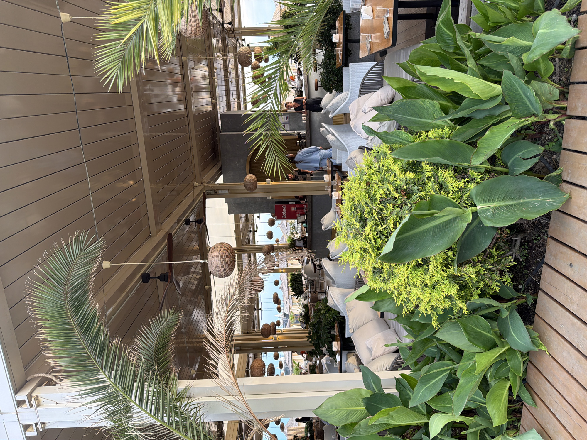 The image depicts an outdoor seating area of a restaurant or cafe in Sochi, Russia, likely on the coast due to the presence of beach umbrellas visible in the background. The foreground features a wooden deck and lush green foliage, including large-leafed plants and a bright green shrub. Behind the foliage, an area with white upholstered seating and tables is visible. Further back, a bar area with stools and several people are present. The ceiling of the covered area is made of brown slatted material, and several woven spherical pendant lights hang from it. Palm fronds also extend into the frame from the left and right. The overall ambiance suggests a relaxed, tropical setting.