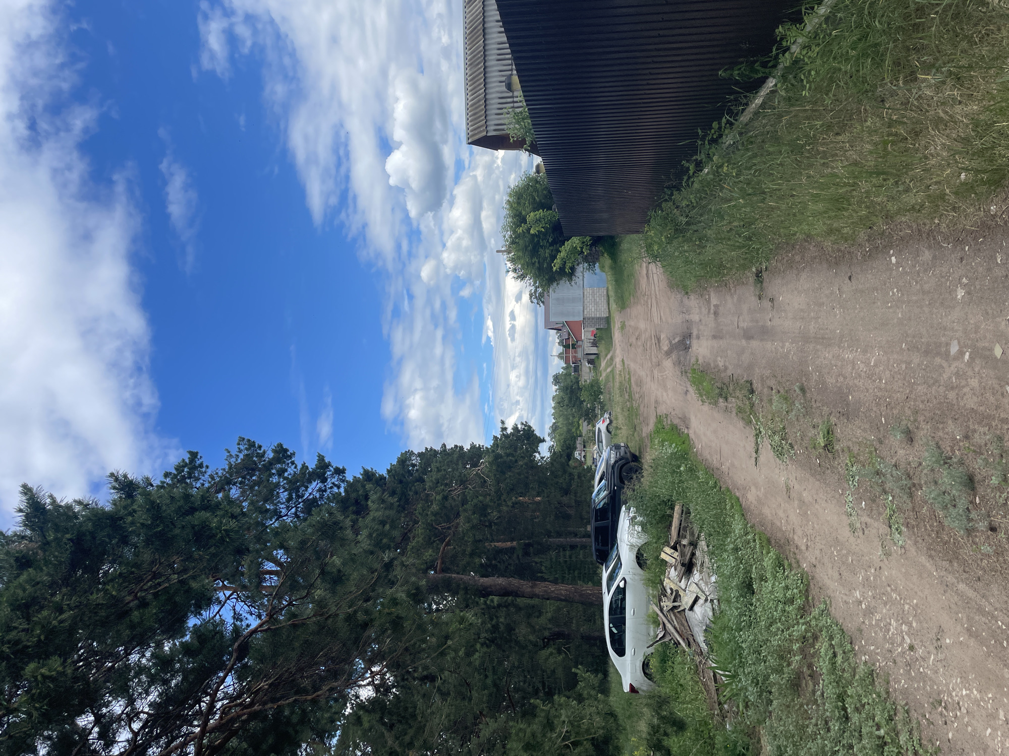 The image depicts a rural or semi-rural unpaved dirt road in Vasilevka, Russia, under a clear blue sky with scattered white cumulus clouds, indicating daytime. The road, showing tire tracks and small pebbles, extends from the bottom center into the background.
On the left side of the road, a dense line of tall coniferous trees (pines) dominates the upper and mid-ground, casting shadows. Beneath these trees, three vehicles are parked sequentially: a white sedan, a black SUV, and a lighter-colored sedan further back. The white sedan, closest to the foreground, displays front-end damage, including a dented bumper/fender. Adjacent to the white sedan and partially obscured by tall grass and weeds, a pile of discarded wooden planks and debris rests on a white sheet or tarp.
On the right side of the road, a strip of tall green grass and weeds borders the immediate foreground. Beyond this vegetation, a tall, dark brown corrugated metal fence runs parallel to the road, extending into the background. Behind the fence, a building with a dark, corrugated roof and light-colored walls is visible. Further in the background, additional utilitarian structures, including concrete block buildings and a red-roofed structure, are discernible. Power lines are faintly visible against the sky in the upper right quadrant. No individuals or animals are present in the scene.