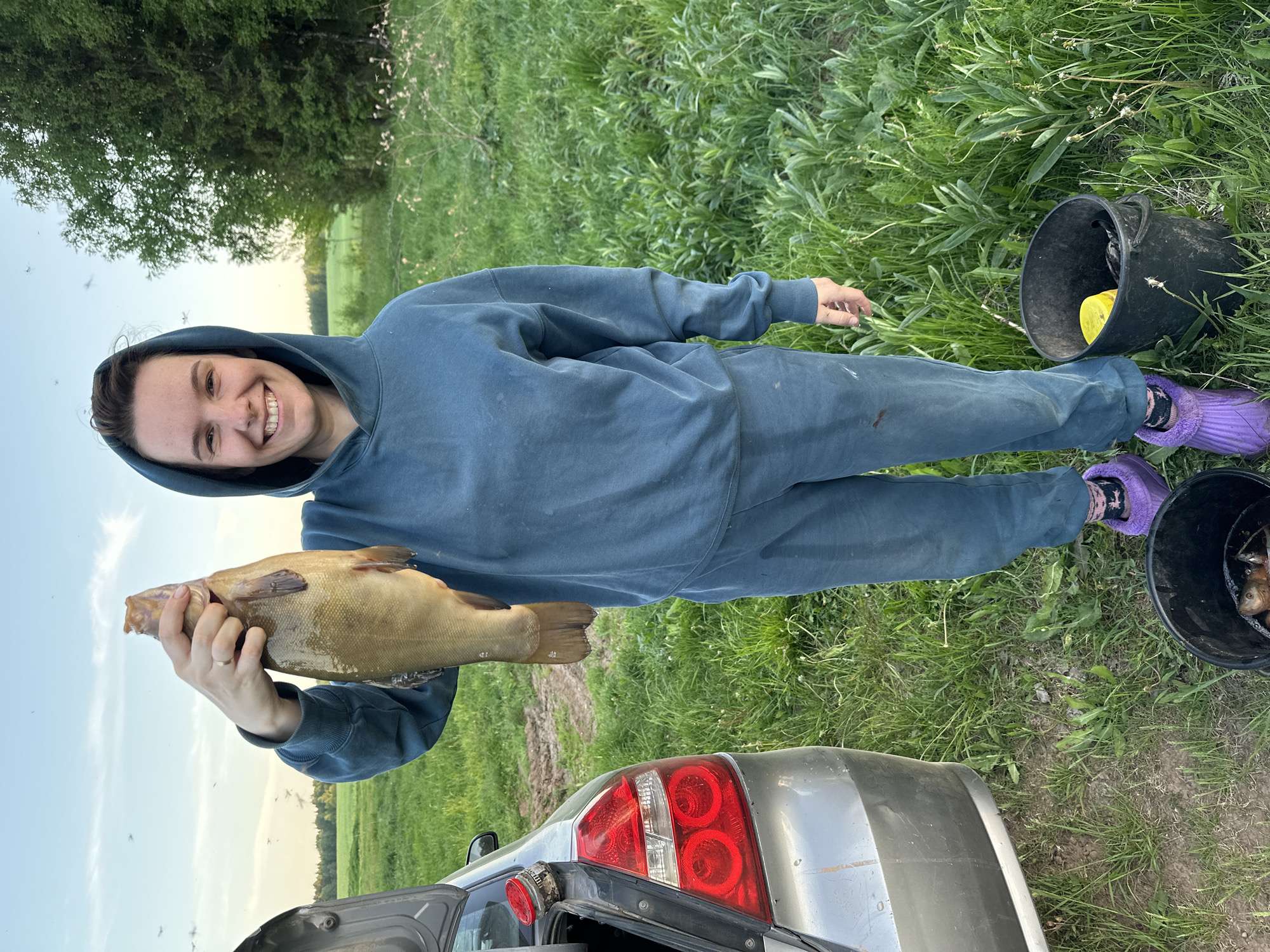 A young woman stands in a grassy field beside a silver hatchback car with its trunk open, holding a large tench fish in her hands. She is wearing a blue hooded tracksuit and purple slippers. Beside her is a black bucket containing a yellow container and what appears to be additional fish. The location is Большая Уса, Russia, implied from the request. The time of day appears to be late afternoon or early evening, as indicated by the lighting. In the background, there is a field, trees, and the sky. There are also a number of small insects in the air.
