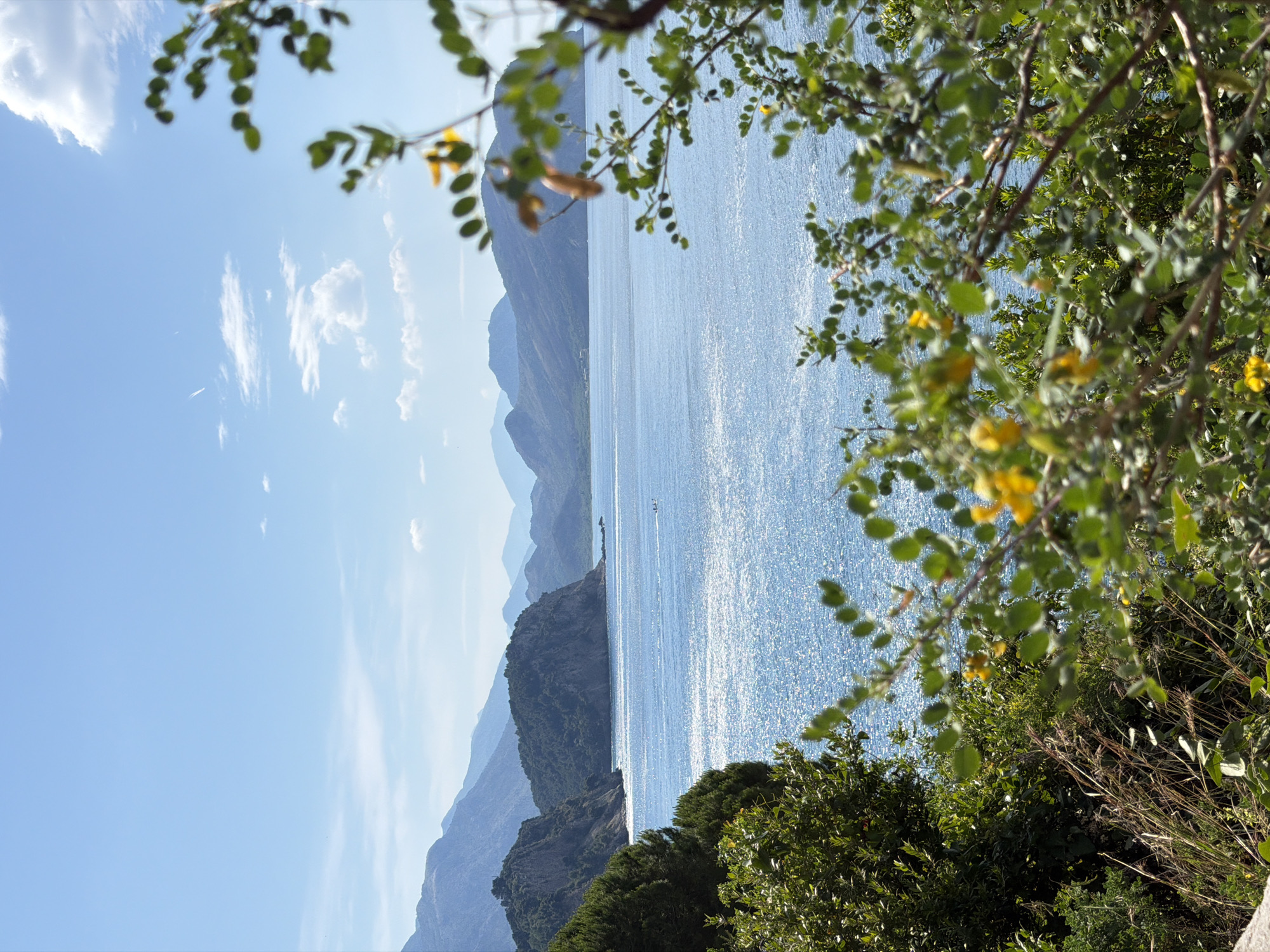 The image captures a landscape scene in Mirište, Montenegro. The view is partially obstructed by foliage in the foreground, featuring green leaves and branches with yellow flowers. The scene opens up to a body of water, presumably the Adriatic Sea, with sun glimmers causing a sparkling effect on the surface. In the distance, a series of mountains are visible, receding into the horizon under a light blue sky with some clouds. The overall composition is taken from a high vantage point, looking down and across towards the water and mountains. The landscape and natural elements dominate the image.