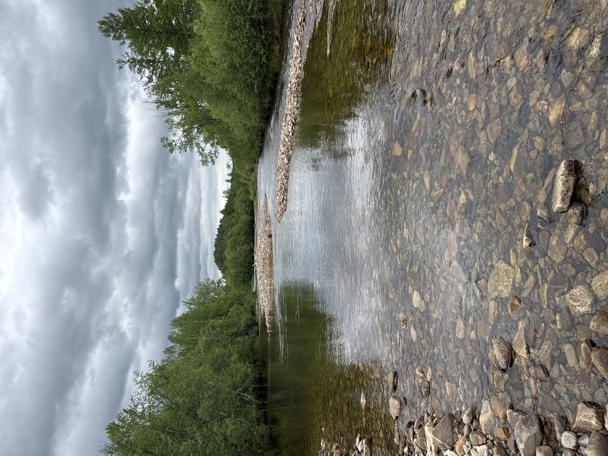 The image depicts a wide, clear river flowing through a wooded landscape under a cloudy sky. The riverbed is visible, covered with various sizes of rounded stones and pebbles. The water reflects the overcast sky and the surrounding greenery. Along the banks of the river, lush green trees and bushes form a dense forest. In the distance, rolling hills covered in trees are visible, suggesting a natural, undeveloped area. The scene is serene and natural, with no signs of human activity or structures. This natural setting is consistent with the undeveloped areas around Murtygit, Russia, which is known for its forests and rivers.