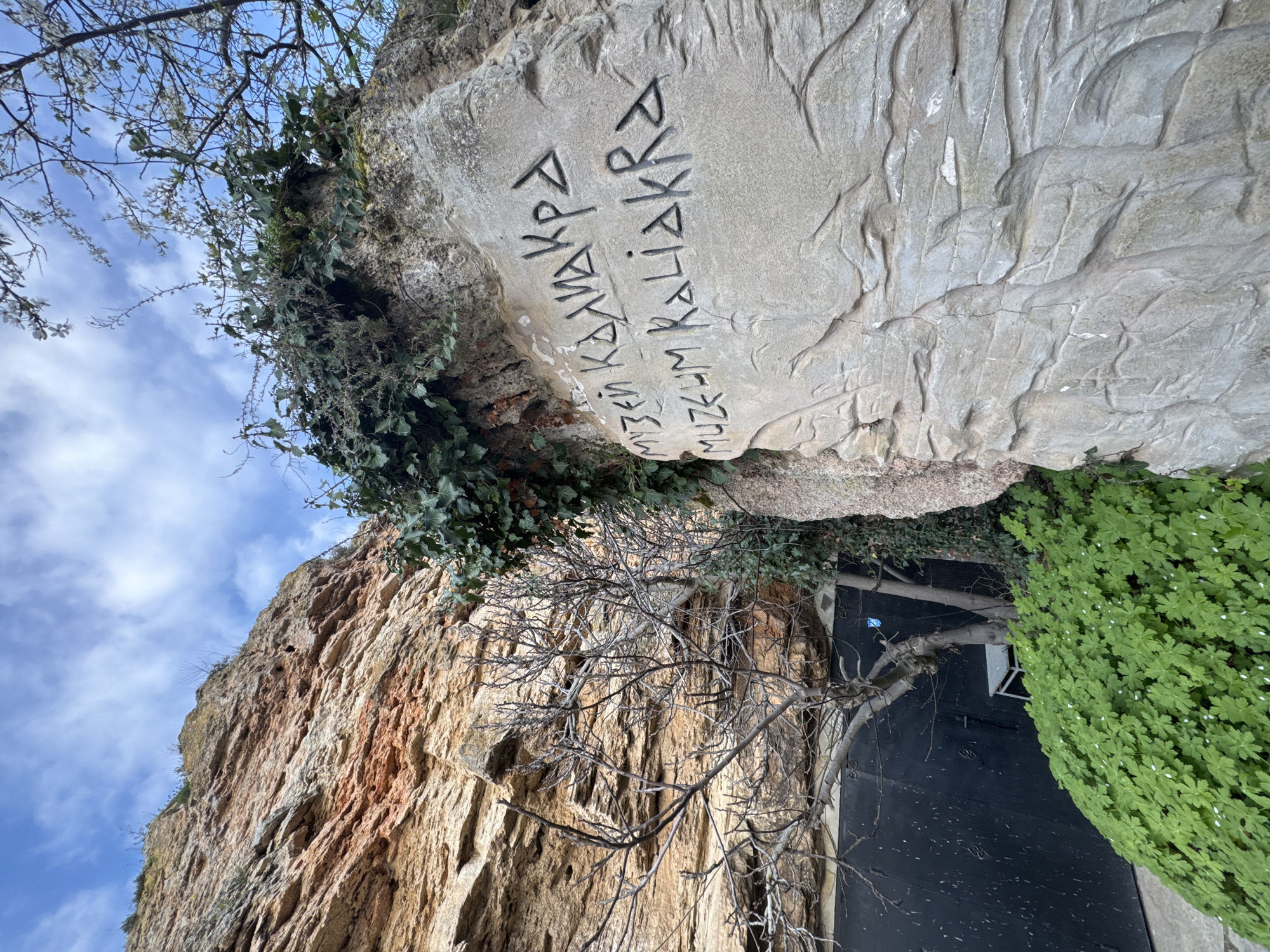 The image shows a rock formation in Balgarevo, Bulgaria. The rock face on the left is layered and colored with streaks of reddish-brown. Overhanging it is a lighter-colored rock, which is inscribed with the words "Музей Калиакра" in Bulgarian Cyrillic, translating to "Kaliakra Museum". Green foliage, including ivy, grows on the rock. A bare tree branch extends across the scene. In the lower right, a dark wall and a large green bush are visible. The sky is blue with white clouds.