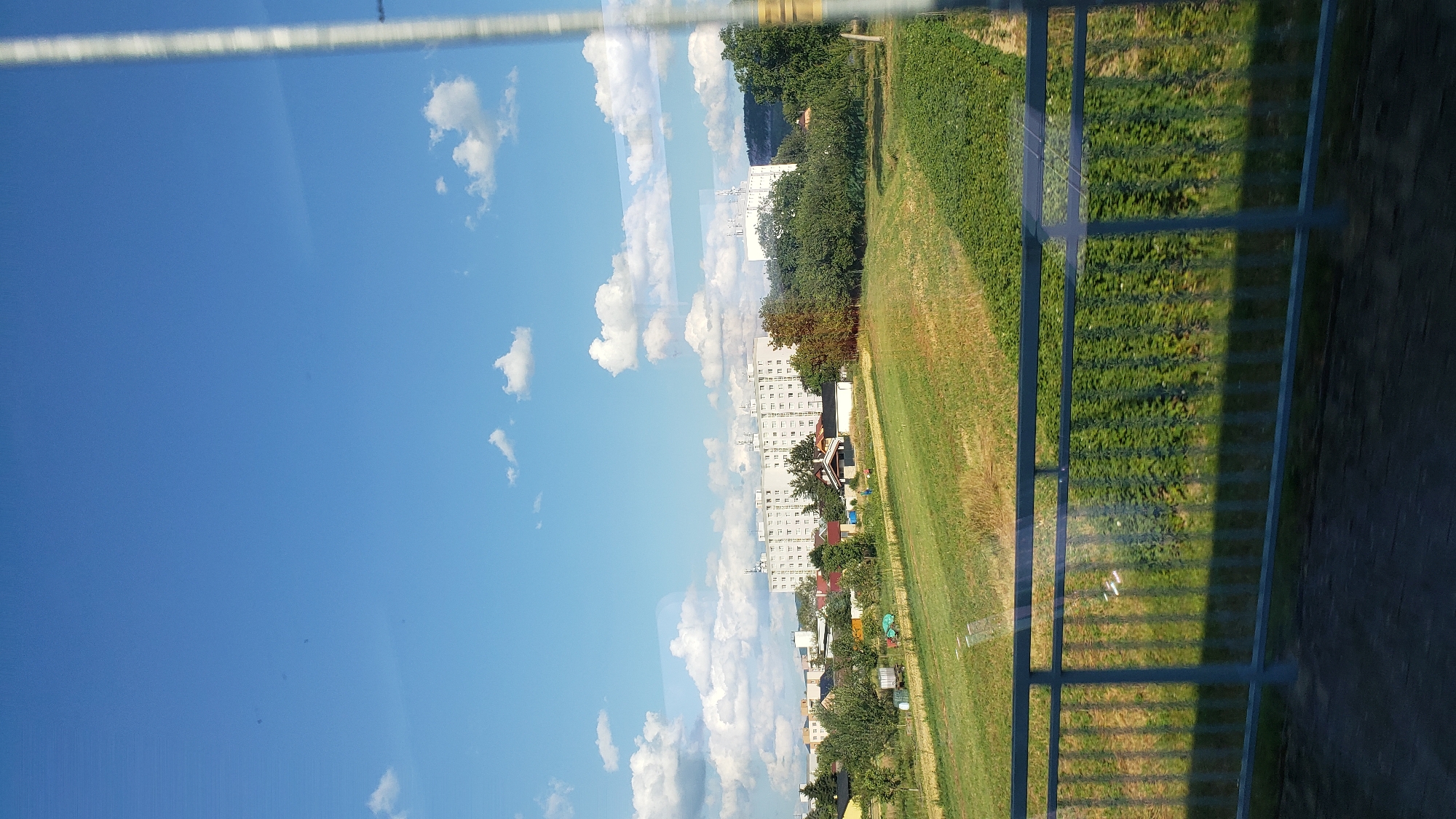The image shows a view of a residential area with a large apartment building and smaller houses, surrounded by greenery and a field. The scene is viewed through a window with a metal railing in the foreground, casting shadows on the field. The sky is blue with scattered white clouds, suggesting it is daytime with fair weather. The apartment building is tall and white, with many windows. The houses appear to be of various sizes and styles, some with red roofs. The field is a mix of green grass and drier, yellowing grass, possibly indicating a field that has been mowed or is drying out. There are trees scattered throughout the scene, providing some shade. The overall impression is one of a suburban or semi-rural setting on a sunny day. The image is taken from a slightly elevated perspective, possibly from a balcony or upper floor. There is no visible text in the image.
