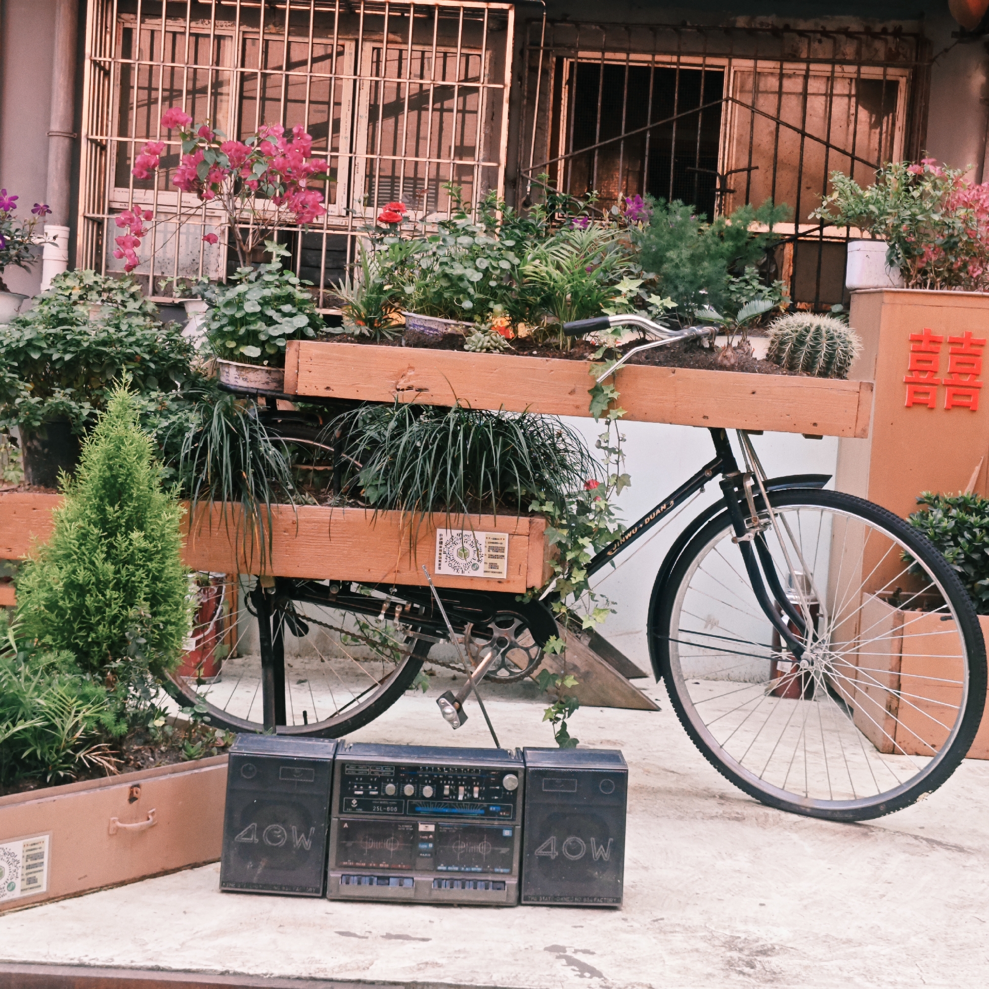 A vintage bicycle converted into a planter stands on a concrete surface in an outdoor setting, likely in an urban area. The bicycle has wooden planters attached to its frame, filled with various plants and greenery, including a cactus. In front of the bicycle is an old, dusty boombox with the "40W" designation visible on its speakers. The background features a building with barred windows, some of which are framed by more plants and flowers. The overall color palette is muted and slightly faded, suggesting the image may be aged or have a vintage filter applied. The scene is possibly located in Yuzhong District, China, considering the appearance of traditional Chinese lettering on a nearby rectangular planter. There are no people visible in the scene.