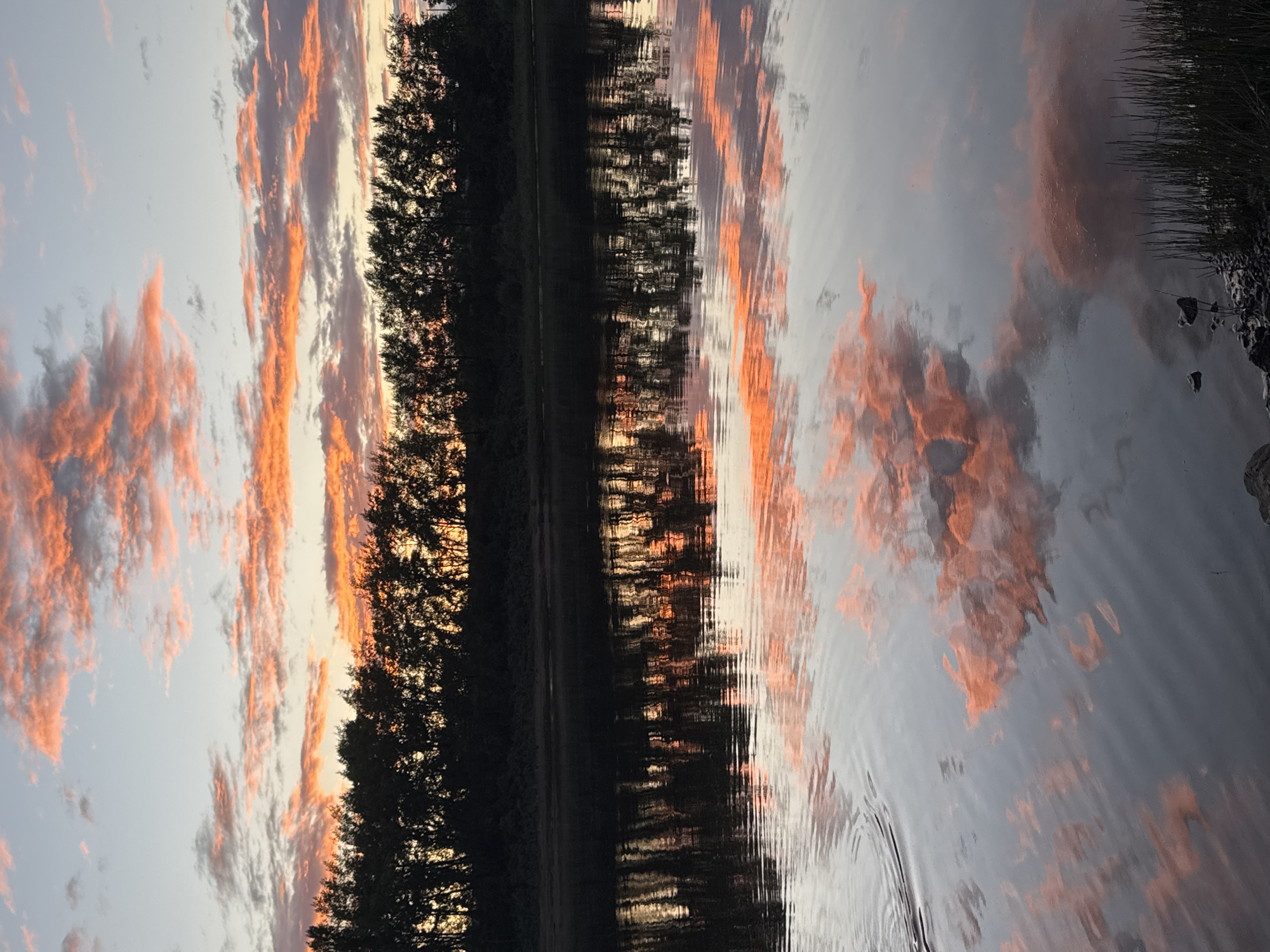 The image displays a vertical reflection of a sunset over a body of water. The sky is filled with clouds, tinged with vibrant orange and pink hues, contrasting with the softer blues and grays. A line of dark trees, likely on the bank of the water, is silhouetted against the sky. Their reflection is visible in the rippling water below, creating a distorted yet beautiful mirroring effect. The water itself appears calm, with gentle ripples disturbing the perfect reflection. The overall scene evokes a sense of tranquility and the serene beauty of nature during sunset. The time of day is clearly dusk, as indicated by the sunset colors in the sky. While no specific objects or people are discernible, the scene suggests a natural, outdoor setting, possibly a lake or riverbank in Chaikovsky, Russia, given the location context. There is no visible text in the image.
