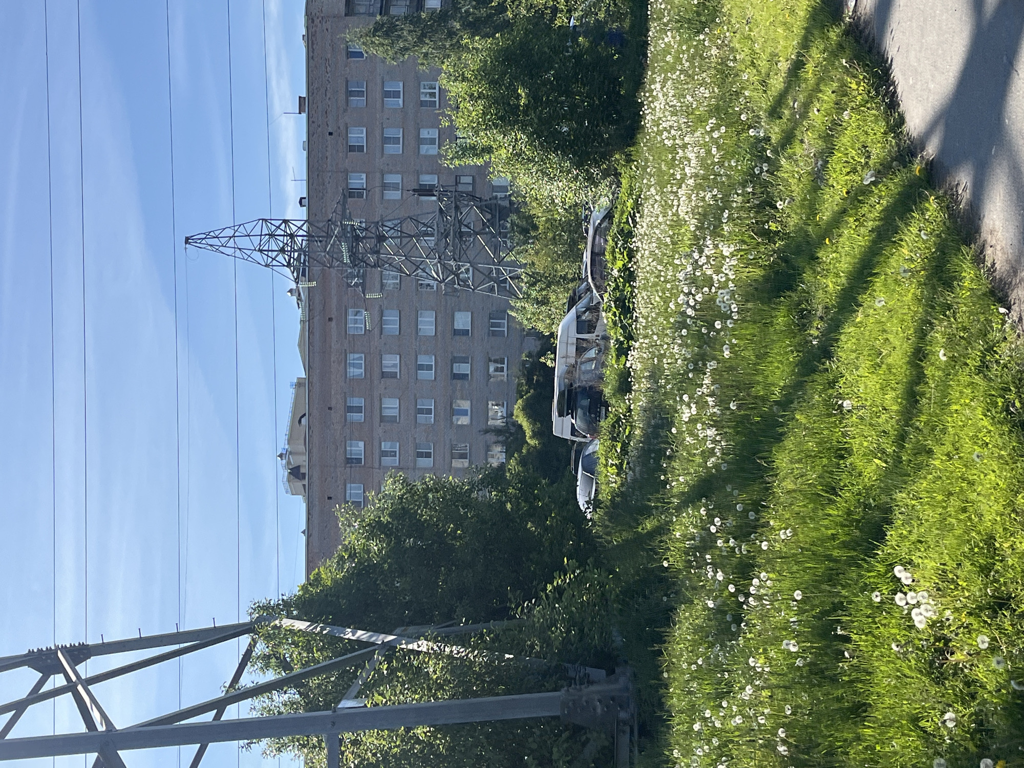 The image depicts an urban or suburban scene in Saint Petersburg, Russia, under a clear blue sky, likely in late spring or early summer.
The central subject is a tall, grey metal electricity transmission pylon, its lattice structure prominent, with multiple power lines extending across the upper part of the frame. Behind the pylon stands a large, multi-story residential building, constructed of brick or stucco, featuring numerous windows across its façade. Its design suggests a functional, possibly Soviet-era, apartment complex.
In the foreground and to the right, a vibrant expanse of green grass is densely covered with white, fluffy dandelion seed heads. Long, distinct shadows from the pylon's structure are cast across this grassy area, indicating bright sunlight and either morning or late afternoon. A paved path or sidewalk runs along the right edge of the frame.
Several cars are partially visible among the trees and bushes behind the grassy area, appearing to be parked. A white van-like vehicle and parts of other dark-colored cars are discernible. Dense green foliage from trees and bushes is interspersed throughout the mid-ground, partially obscuring the building's lower levels and the vehicles. No people are visible, and no specific activity is taking place; the scene captures a static moment of urban environment. There is no visible text in the image.