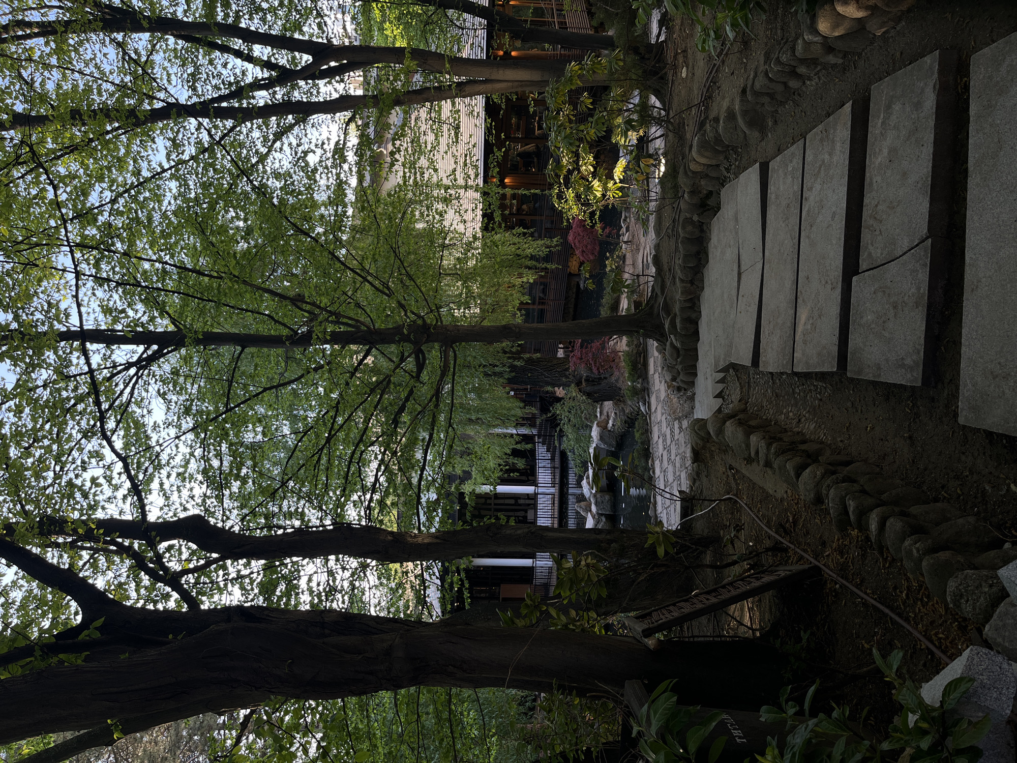 The image displays a serene outdoor scene, likely a landscaped garden or park, characterized by lush greenery and traditional architecture.
In the foreground and extending through the upper portion of the frame, several large trees with dark, prominent trunks and branches create a dense canopy of vibrant green leaves, through which glimpses of a bright, clear sky are visible. Sunlight filters softly through the foliage, illuminating the scene.
To the right, a path made of large, irregular grey stepping stones is laid out on dark earth. The path is bordered by a neat line of rounded natural stones, and some of the stepping stones show cracks. Towards the bottom right corner, a dark wooden element, possibly a sign or plank, is partially visible with faint, illegible white text.
In the middle ground, partially framed by the trees, stands a multi-story building featuring a light-colored roof and dark-toned walls. The structure includes what appear to be balconies or open sections with railings, and its design suggests a traditional or possibly East Asian architectural style. In front of the building lies a dark body of water, likely a pond, edged with natural rocks. Various green shrubs and plants, some exhibiting reddish-purple foliage, are arranged around the pond and the building.
The scene conveys a sense of tranquility and natural beauty. The lighting indicates it is daytime, possibly late afternoon, with soft, diffused light. There are no people visible, allowing the natural and architectural elements to dominate. The setting appears to be a carefully designed garden, consistent with aesthetic park spaces found in locations such as Sofia, Bulgaria.