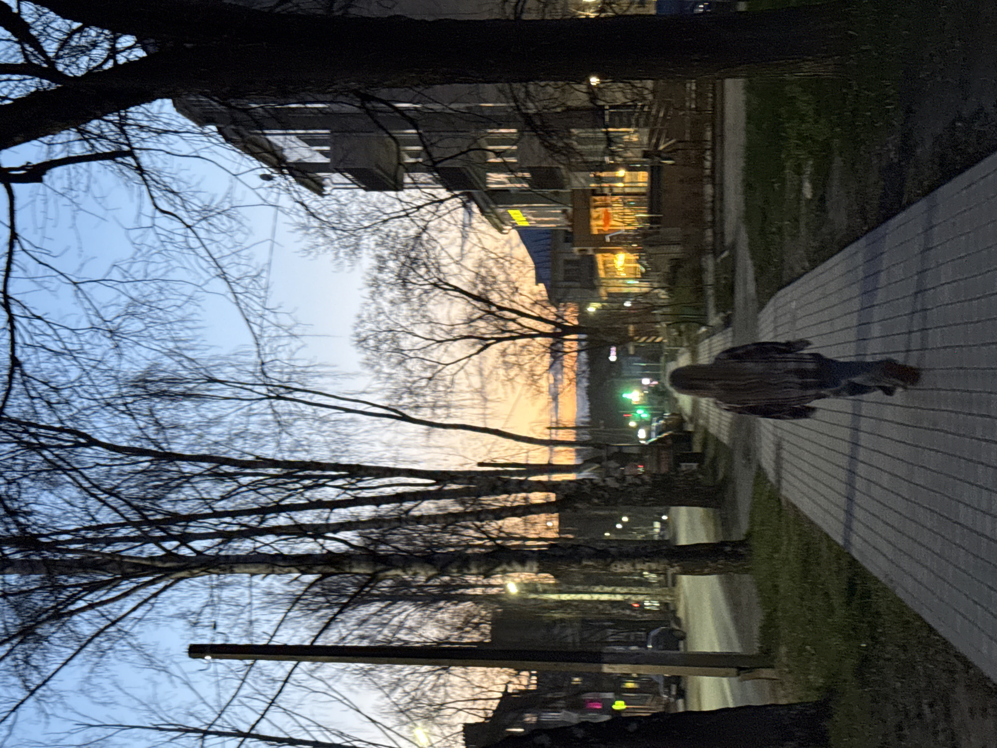 The image captures a street scene in Chaikovsky, Russia, during dusk or early evening. The sky transitions from a soft blue at the top to warm orange and pink hues near the horizon, indicating a sunset.
In the foreground, a paved sidewalk occupies the right side of the frame, extending into the distance. A person, seen from behind, walks away from the viewer along this sidewalk. To the left of the sidewalk, a narrow strip of grass is visible, followed by several bare trees with intricate branches silhouetted against the twilight sky. A large tree trunk is prominent in the upper left corner.
The mid-ground features more bare trees lining the street, interspersed with glowing streetlights that cast warm light. Across the street, multi-story buildings stand, some displaying illuminated windows. One building has yellow signs, but any text on them is not decipherable. Further down the street, blurred lights suggest moving or parked vehicles.
The overall impression is a quiet, transitional moment in an urban or suburban setting as day gives way to night. No specific activities are discernable beyond the person walking.
