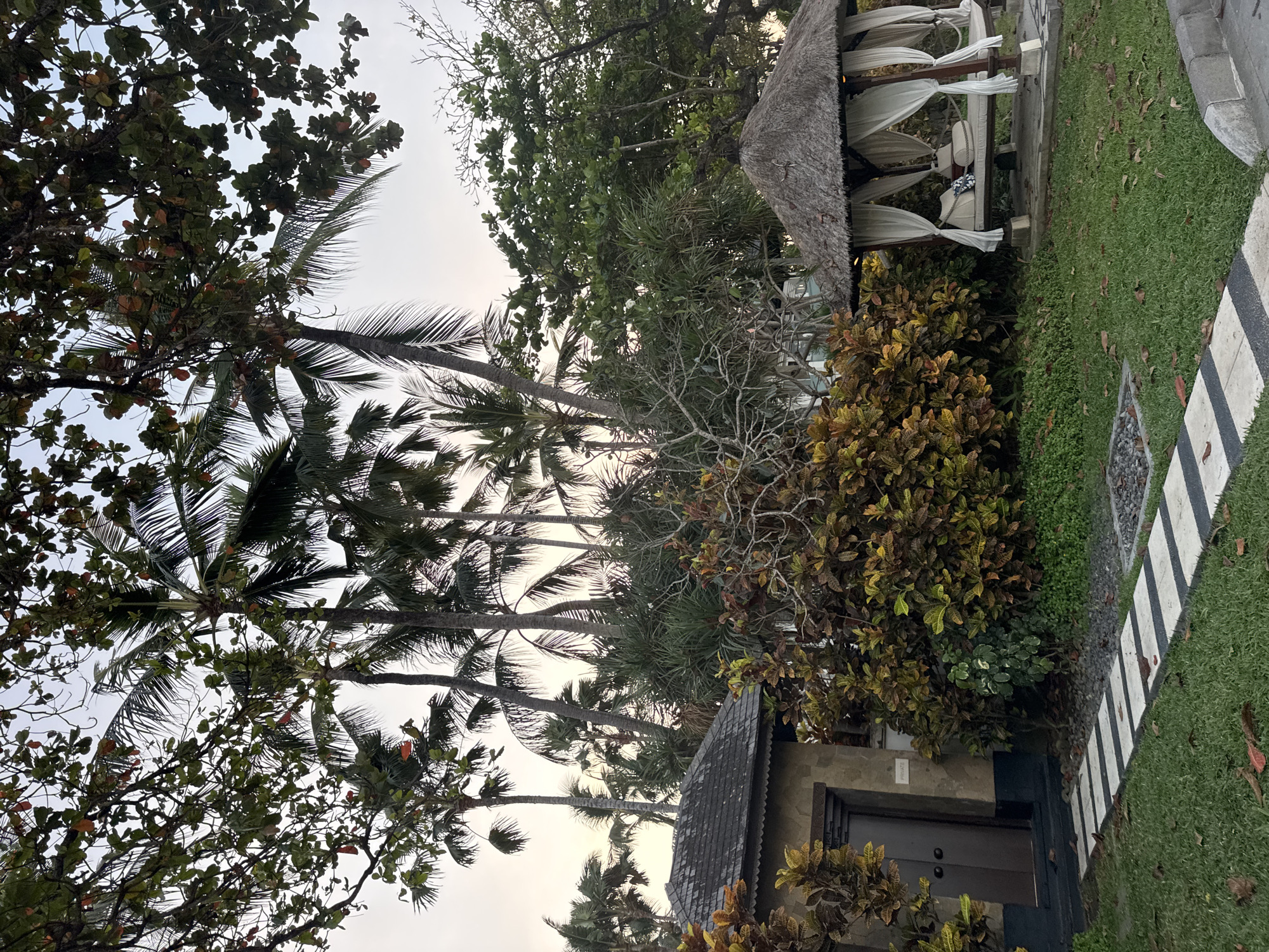 The image depicts an outdoor scene in Kuta Selatan, Indonesia, featuring lush tropical vegetation and several man-made structures. A stone building with a dark brown door is visible on the left, bordered by a pathway of alternating white and dark grey stones leading across a green lawn. Adjacent to the building is a dense cluster of plants with variegated leaves in shades of yellow, orange, and red. To the right, a thatched-roof gazebo with white drapes is situated on a raised concrete platform, furnished with cushions and pillows. The background is dominated by numerous palm trees and other dense green foliage, suggesting a tropical resort or garden setting. The sky above is a pale gradient of yellow and white, indicating either dawn or dusk. There are no people or animals visible in the image.