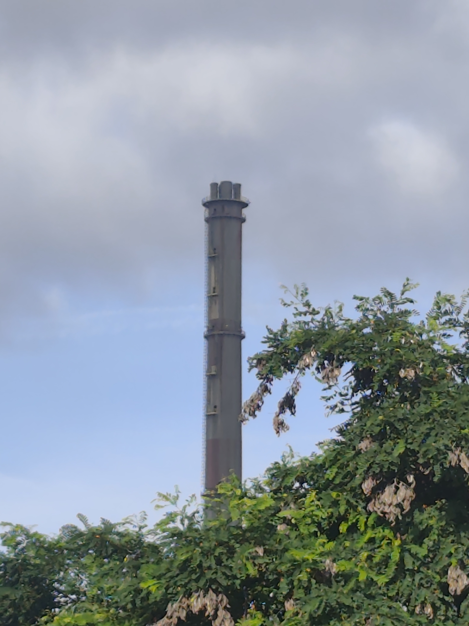 An industrial smokestack, weathered and gray, stands tall against a pale, overcast sky. The smokestack has a slightly tapered cylindrical shape with a wider, crenellated top. Vertical ladder rungs are visible along its side, suggesting it is an operational structure. In the foreground, lush green foliage from trees partially obscures the base of the smokestack. The leaves are dense and varied in shade, with some branches reaching upwards towards the sky. The overall scene evokes an industrial area situated within or on the outskirts of a city, possibly in Police, Poland, given the context. There are no people or discernible actions taking place in the image.