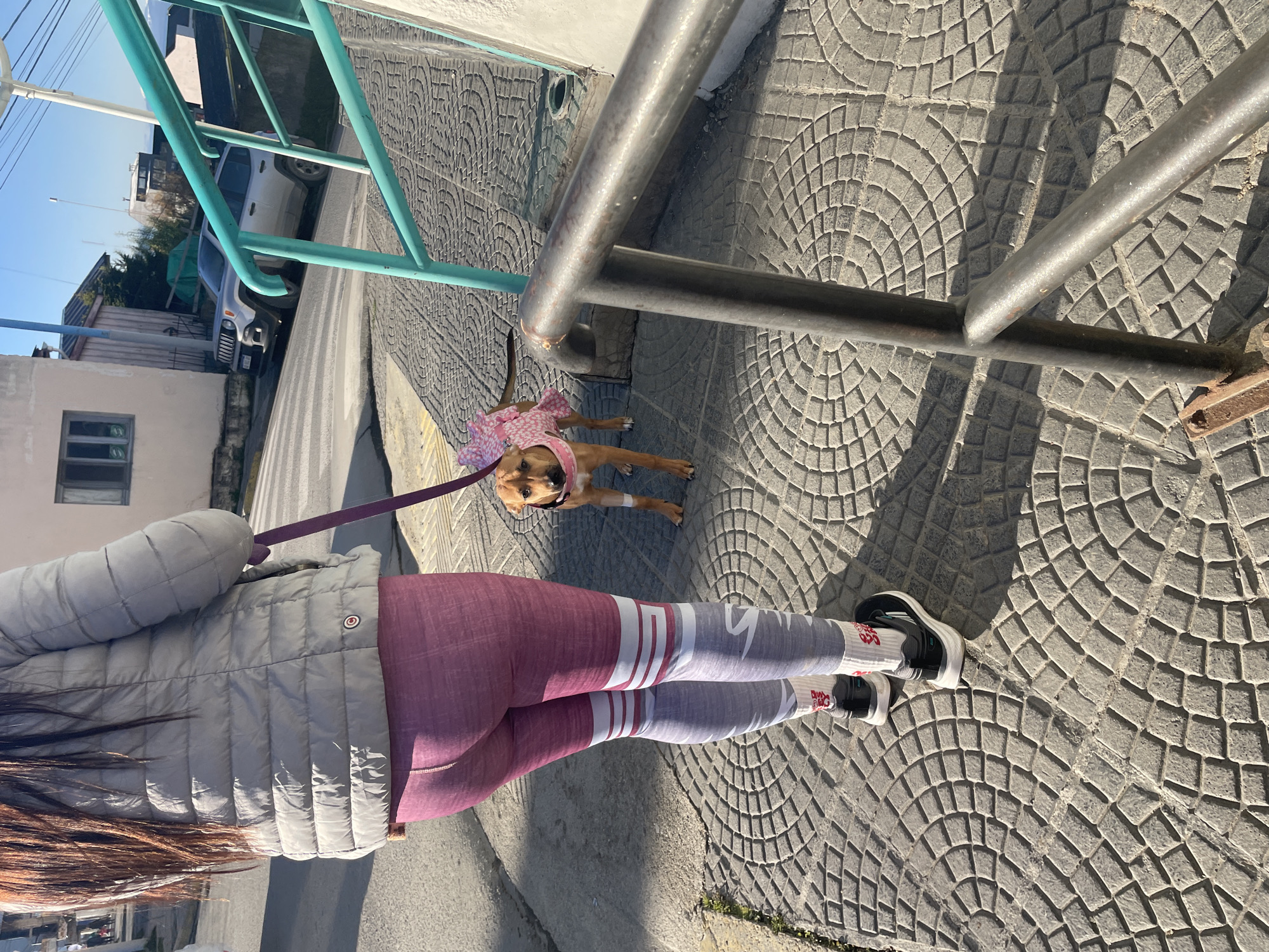 The image depicts an individual walking a brown dog on a leash on a gray paved sidewalk. The dog is wearing a pink floral patterned dress and a pink collar. The individual is wearing a gray puffer jacket and maroon and gray leggings with white stripes. The background includes a building and a car, suggesting an urban setting. The location is not identifiable as Ushuaia, Argentina, based on the visual elements.
