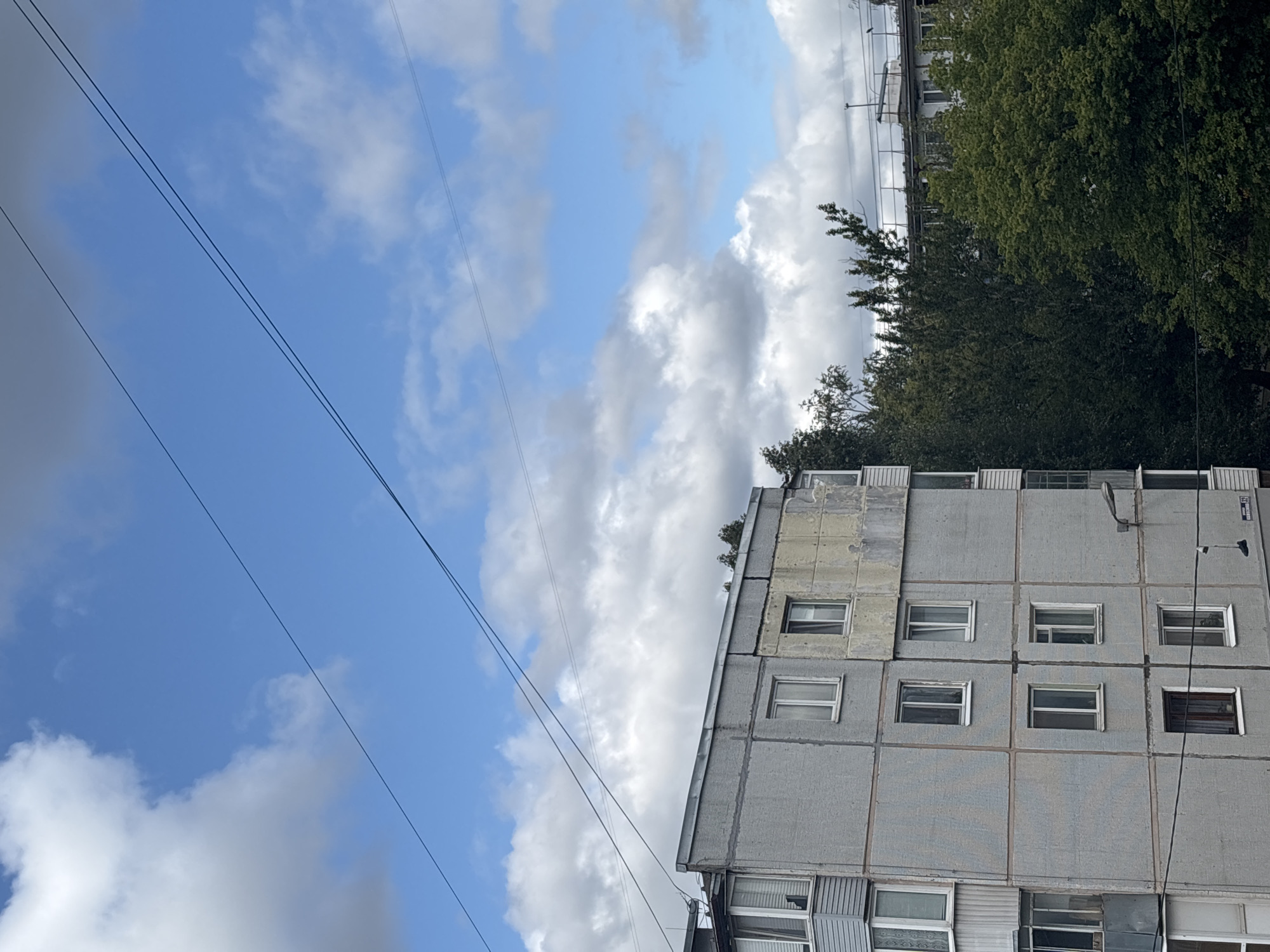 The image shows a view from a window looking upwards towards a cloudy blue sky and the upper floors of a grey, multi-story apartment building. Several dark power lines stretch across the sky. The building appears to be constructed of large, textured concrete panels. Windows of various sizes and configurations are visible on the building's facade, some with white frames and others with darker frames. There is some visible discoloration and wear on the building's exterior. Behind the apartment building, lush green trees are visible, and further in the background, another building with a flat roof and railings can be seen. The overall scene suggests an urban environment. The metadata indicates the location is Bryansk, Russia, and the time is approximately 12:29 PM on a day in late summer or early autumn given the foliage. No people are visible in the frame, and no specific actions are depicted.