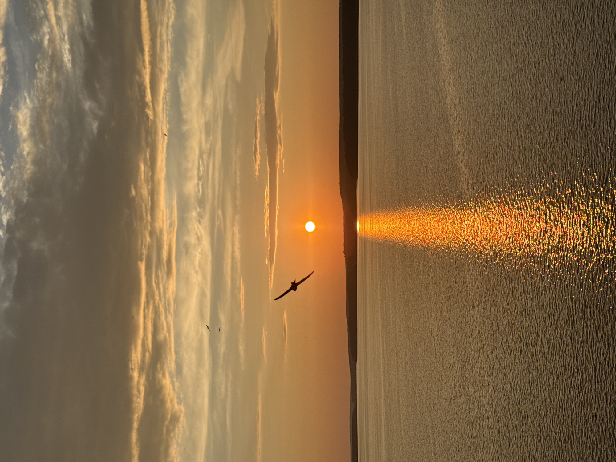 The image depicts a sunset over the Kama River near Votkinsk, Russia. A solitary bird, silhouetted against the warm hues of the setting sun, soars across the sky. The sun, a bright orb, casts a shimmering reflection on the water's surface, creating a golden pathway. The sky is filled with a mix of soft, diffused clouds and streaks of orange and yellow light. The horizon is marked by a dark, silhouetted landmass. The water appears calm, with gentle ripples disturbing its surface. The overall impression is one of serene natural beauty and tranquility.